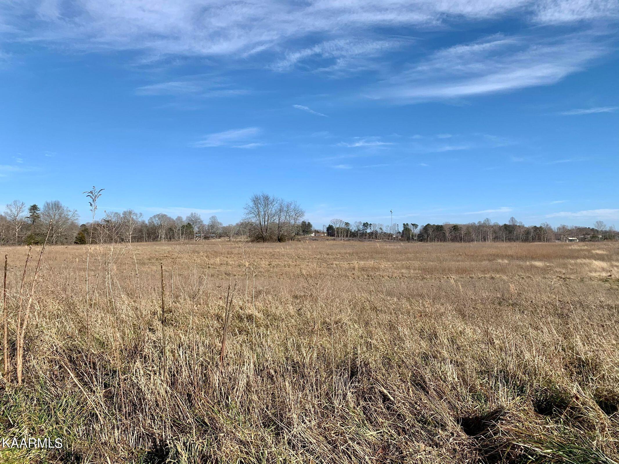 Hack Beaty Road Grimsley, TN 38565 - Photo 1 of 6 20210117012937989951000000-o