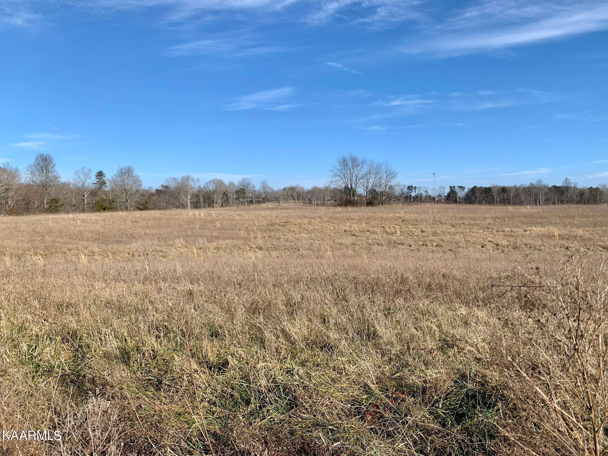 Hack Beaty Road Grimsley, TN 38565 - Photo 3 of 6 20210117012920483076000000-o