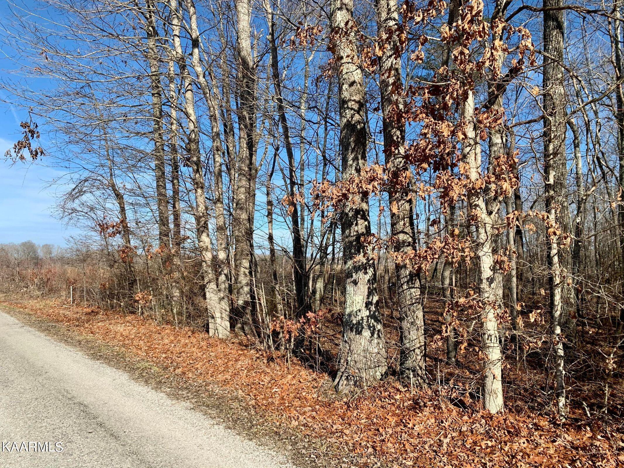 Hack Beaty Road Grimsley, TN 38565 - Photo 4 of 6 20210117012857337104000000-o