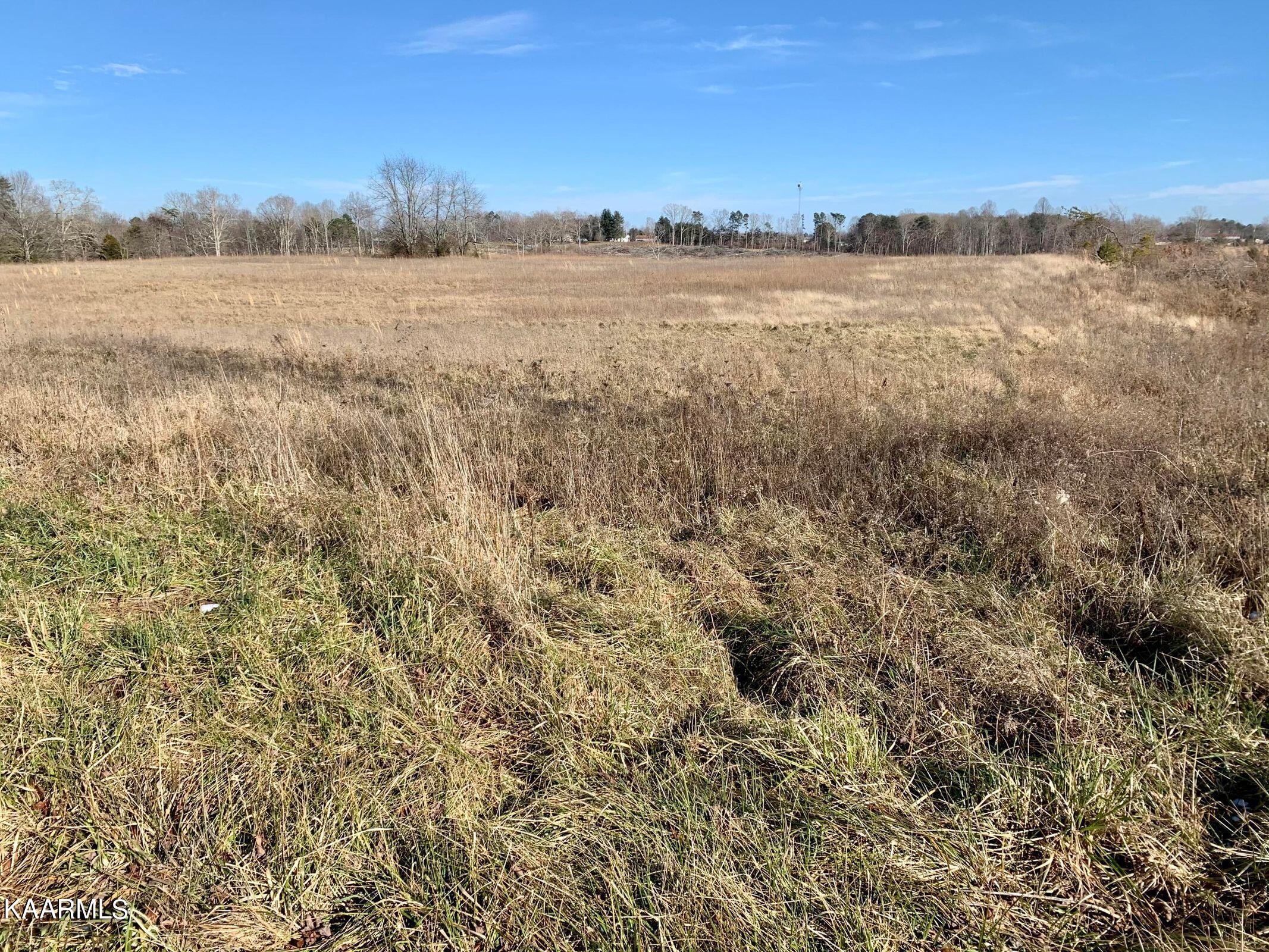 Hack Beaty Road Grimsley, TN 38565 - Photo 5 of 6 20210117013012524899000000-o