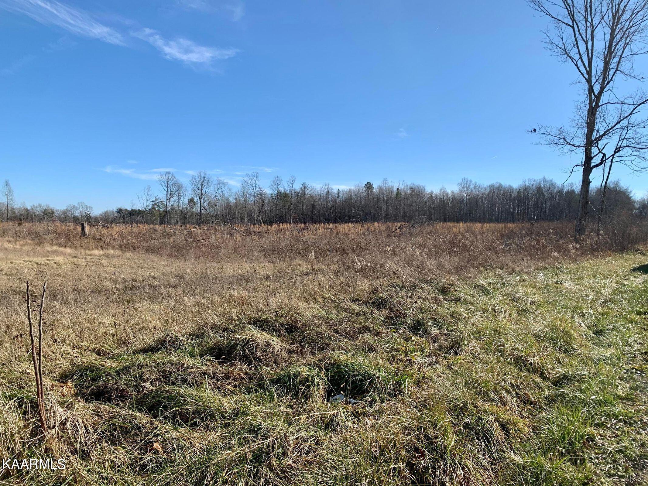 Hack Beaty Road Grimsley, TN 38565 - Photo 6 of 6 20210117012948140099000000-o