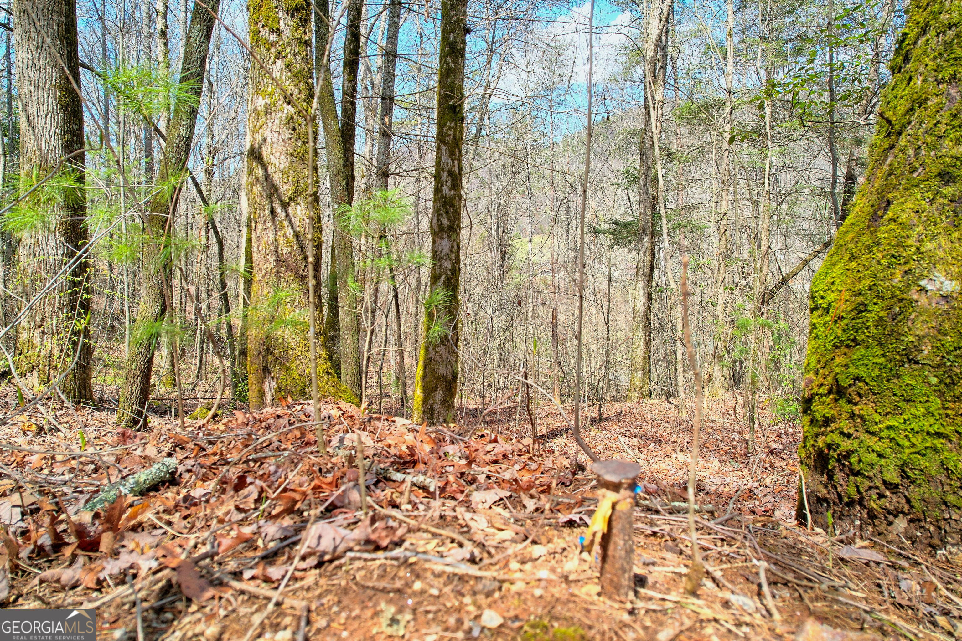 0 Bridge Creek Road Tiger, GA 30576 - Photo 1 of 1 Gallery Image 1