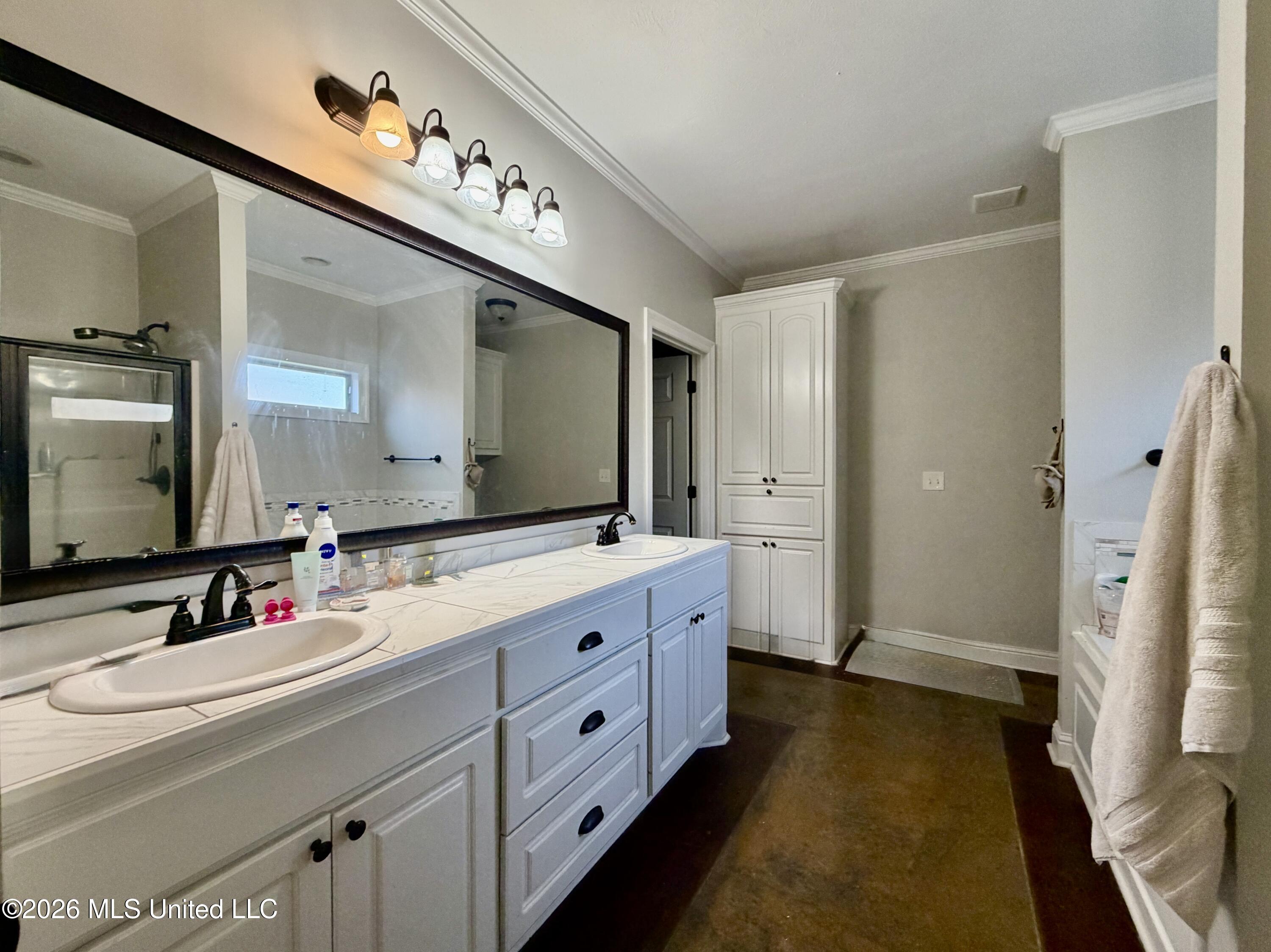 736 Hartwood Cove Brandon, MS 39042 - Photo 12 of 27 master bath