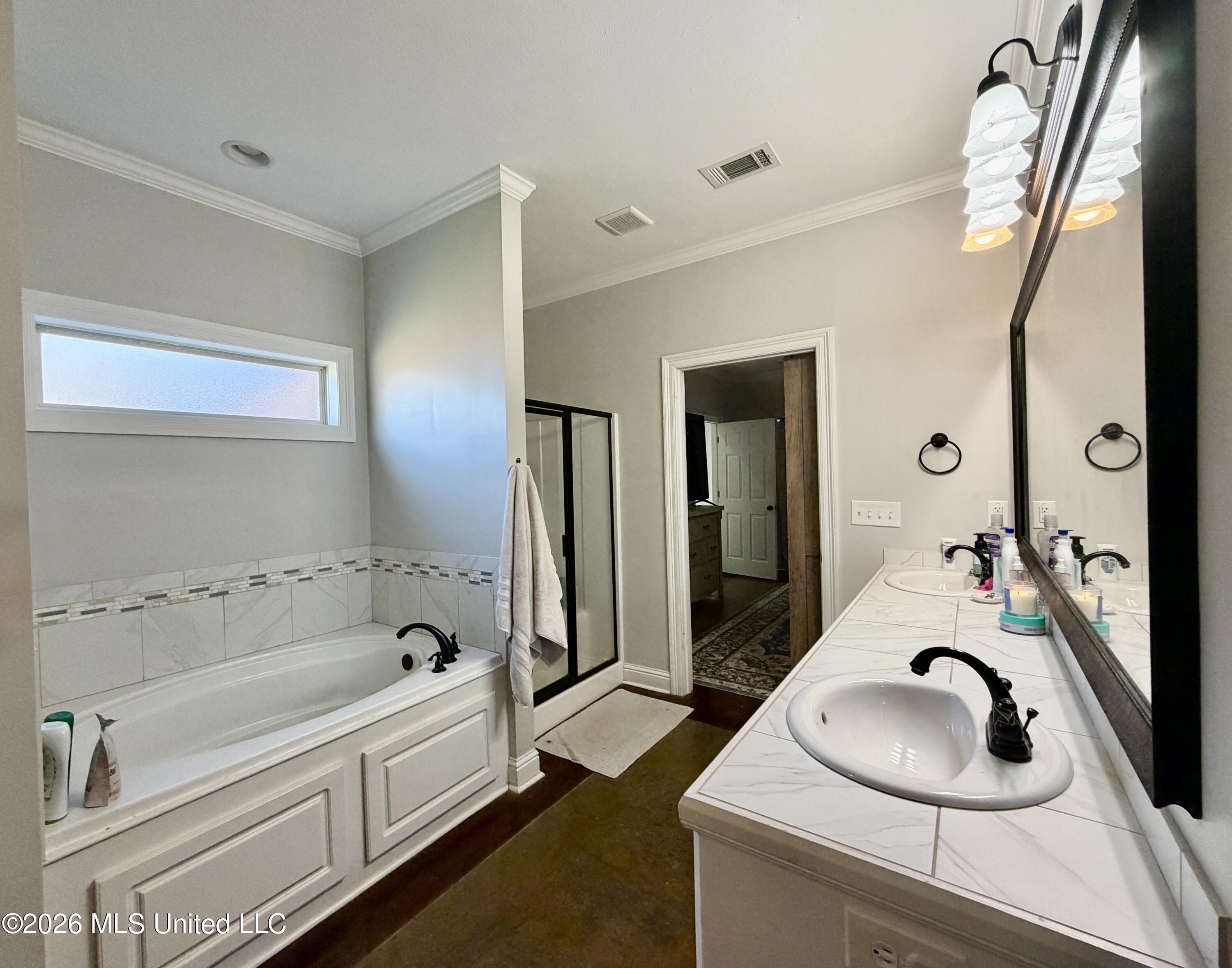 736 Hartwood Cove Brandon, MS 39042 - Photo 13 of 27 master bath