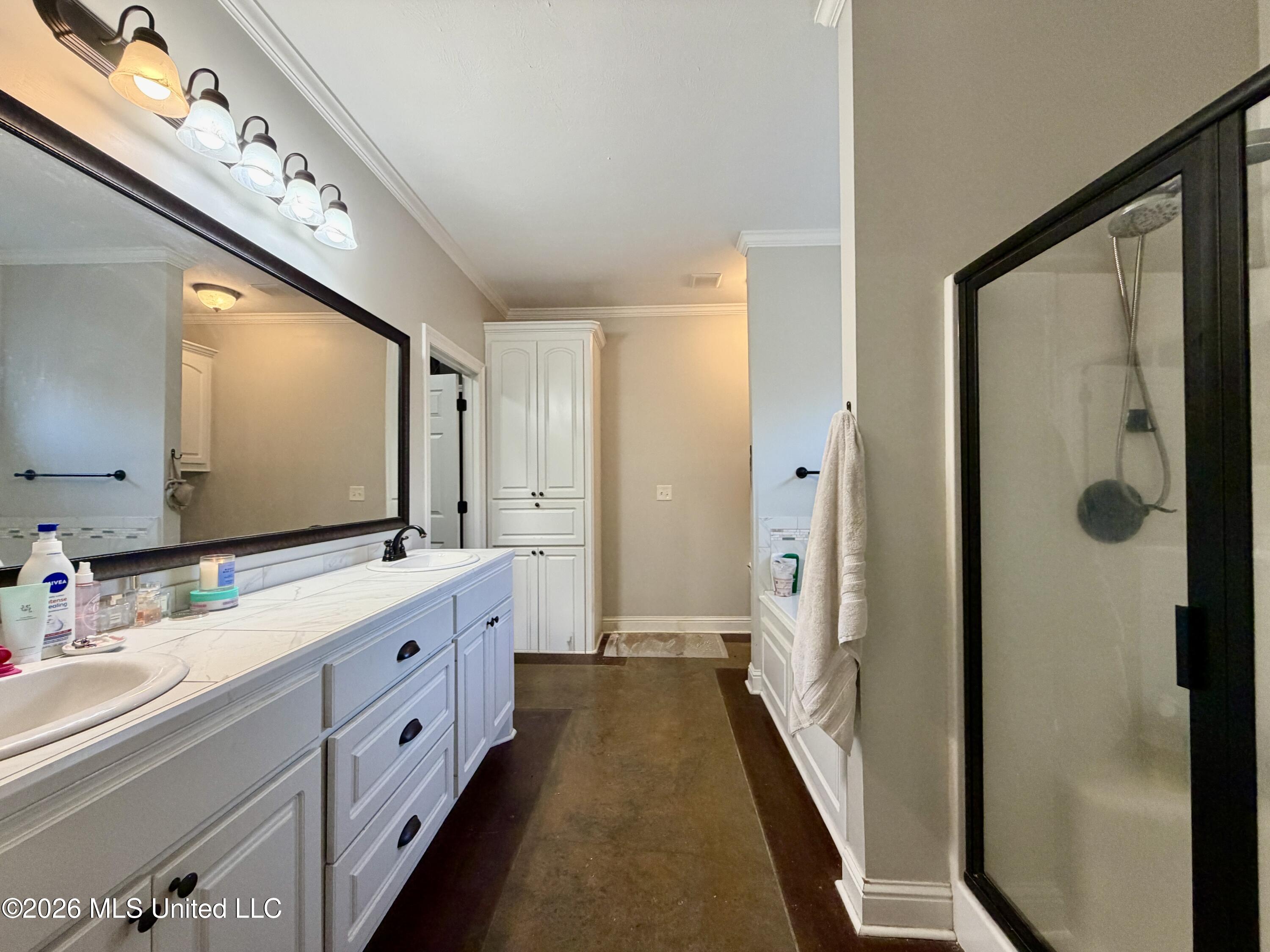 736 Hartwood Cove Brandon, MS 39042 - Photo 14 of 27 master bath