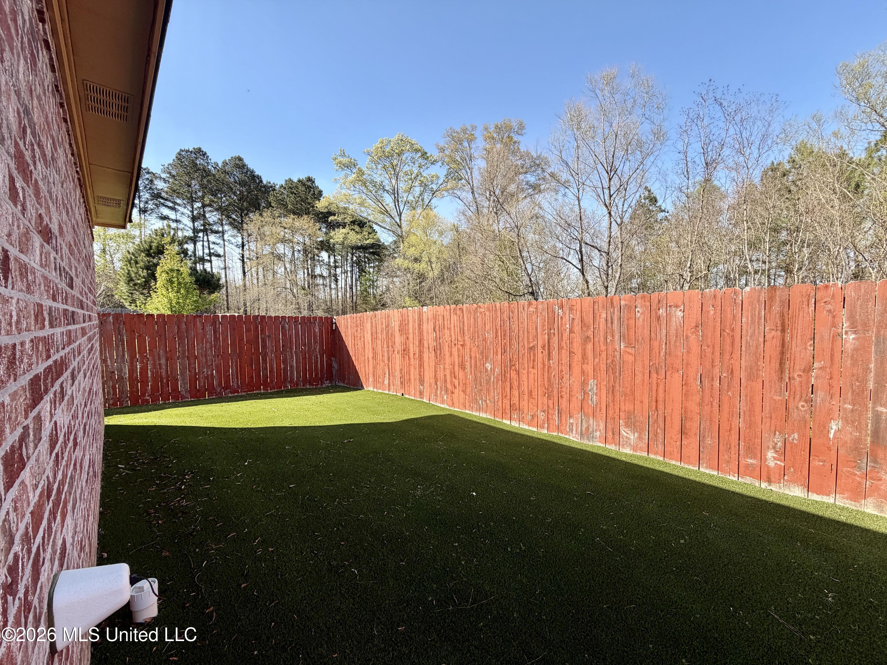 736 Hartwood Cove Brandon, MS 39042 - Photo 4 of 27 backyard