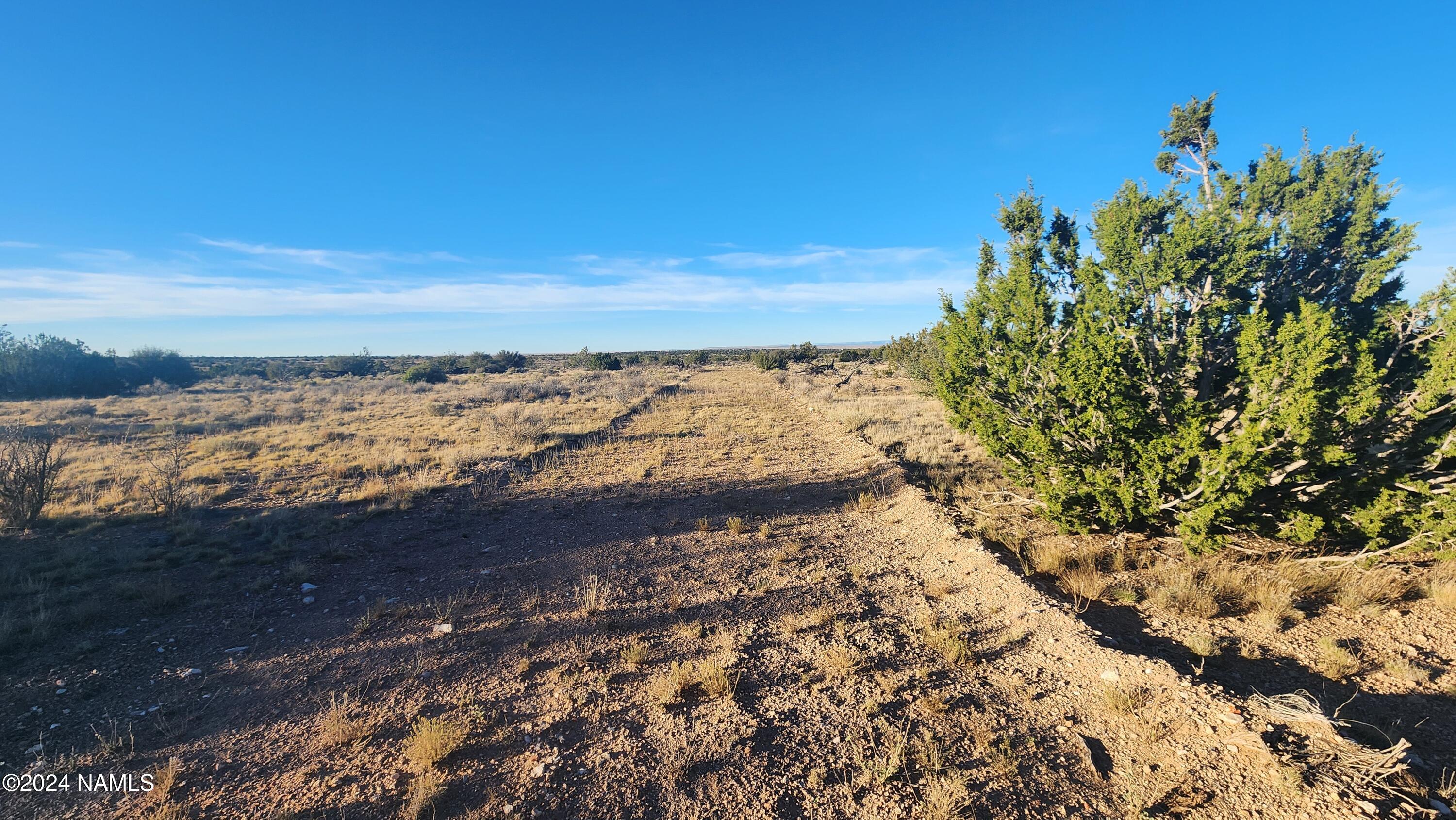10424 West Line Cook Trail Williams, AZ 86046 - Photo 11 of 28 1000022022