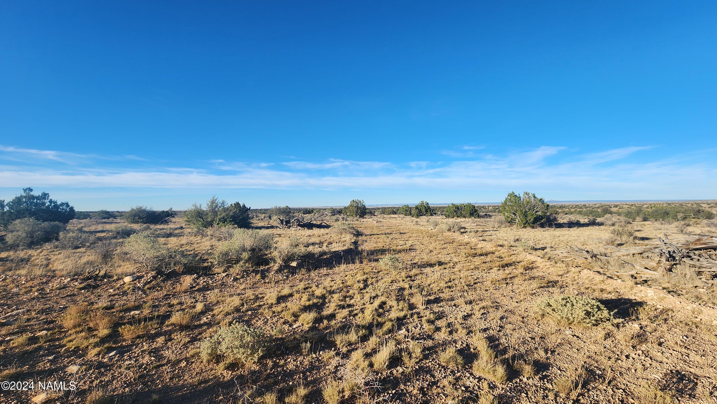 10424 West Line Cook Trail Williams, AZ 86046 - Photo 12 of 28 1000022021