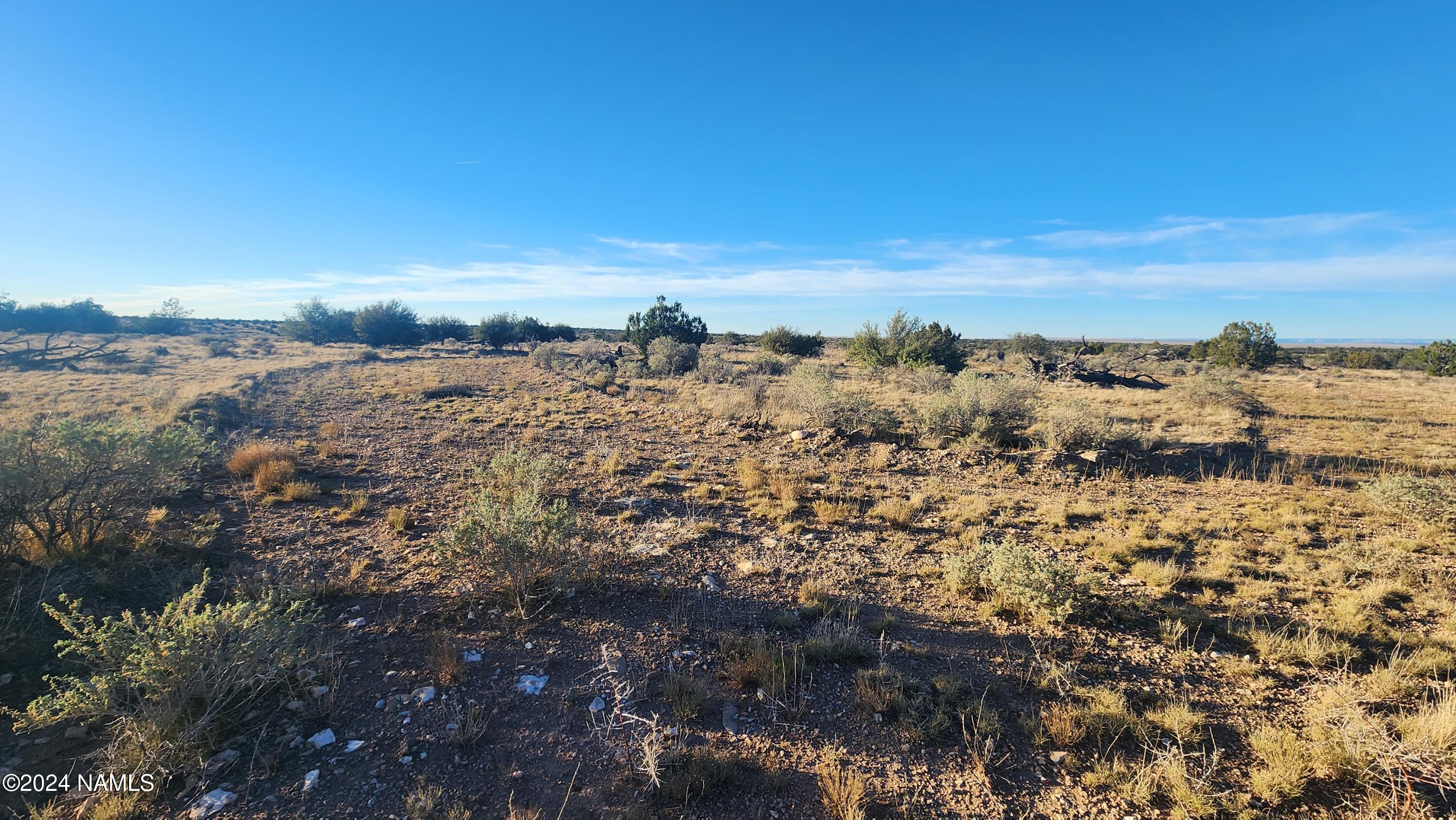 10424 West Line Cook Trail Williams, AZ 86046 - Photo 13 of 28 1000022020