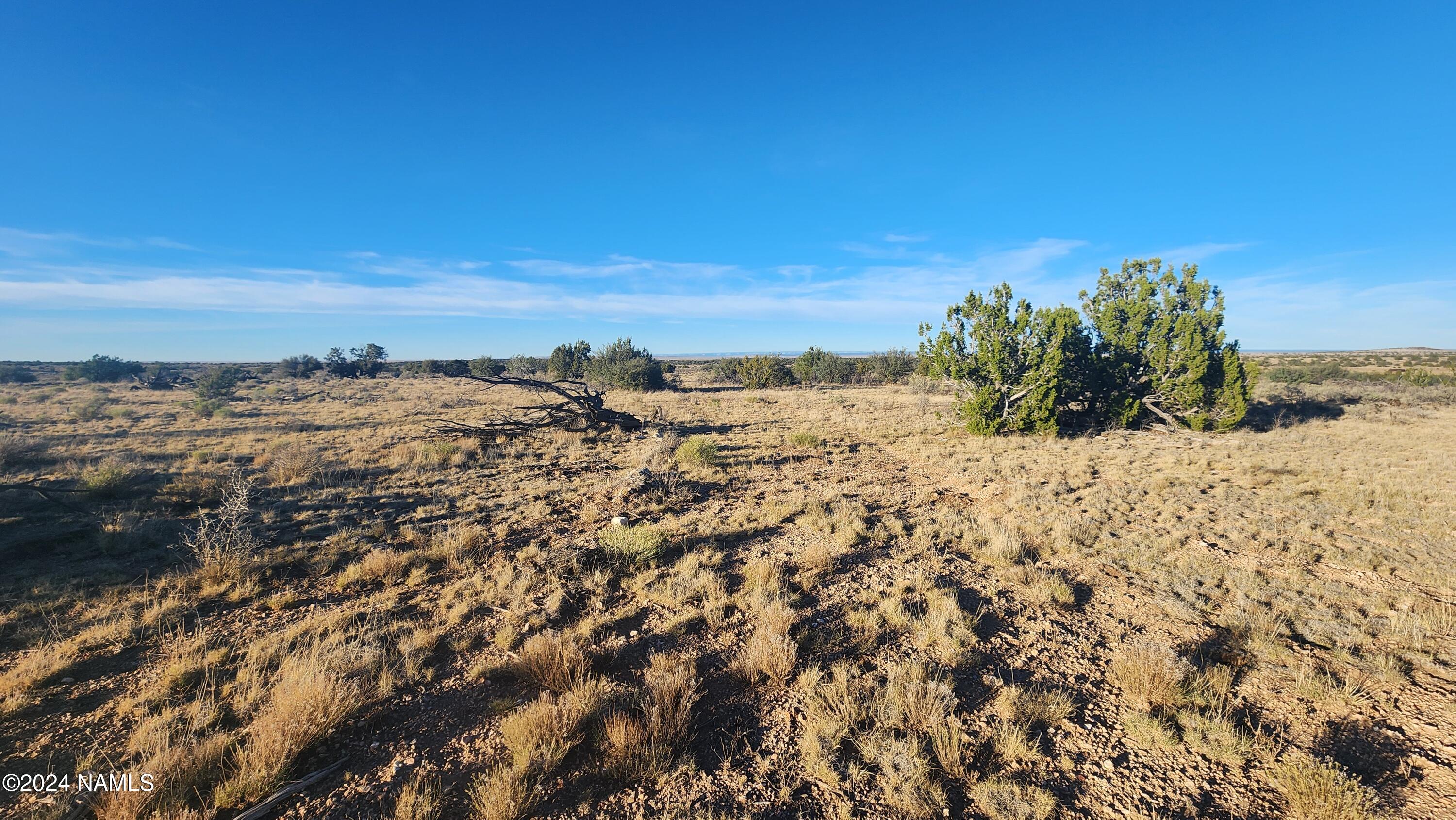 10424 West Line Cook Trail Williams, AZ 86046 - Photo 14 of 28 1000022019
