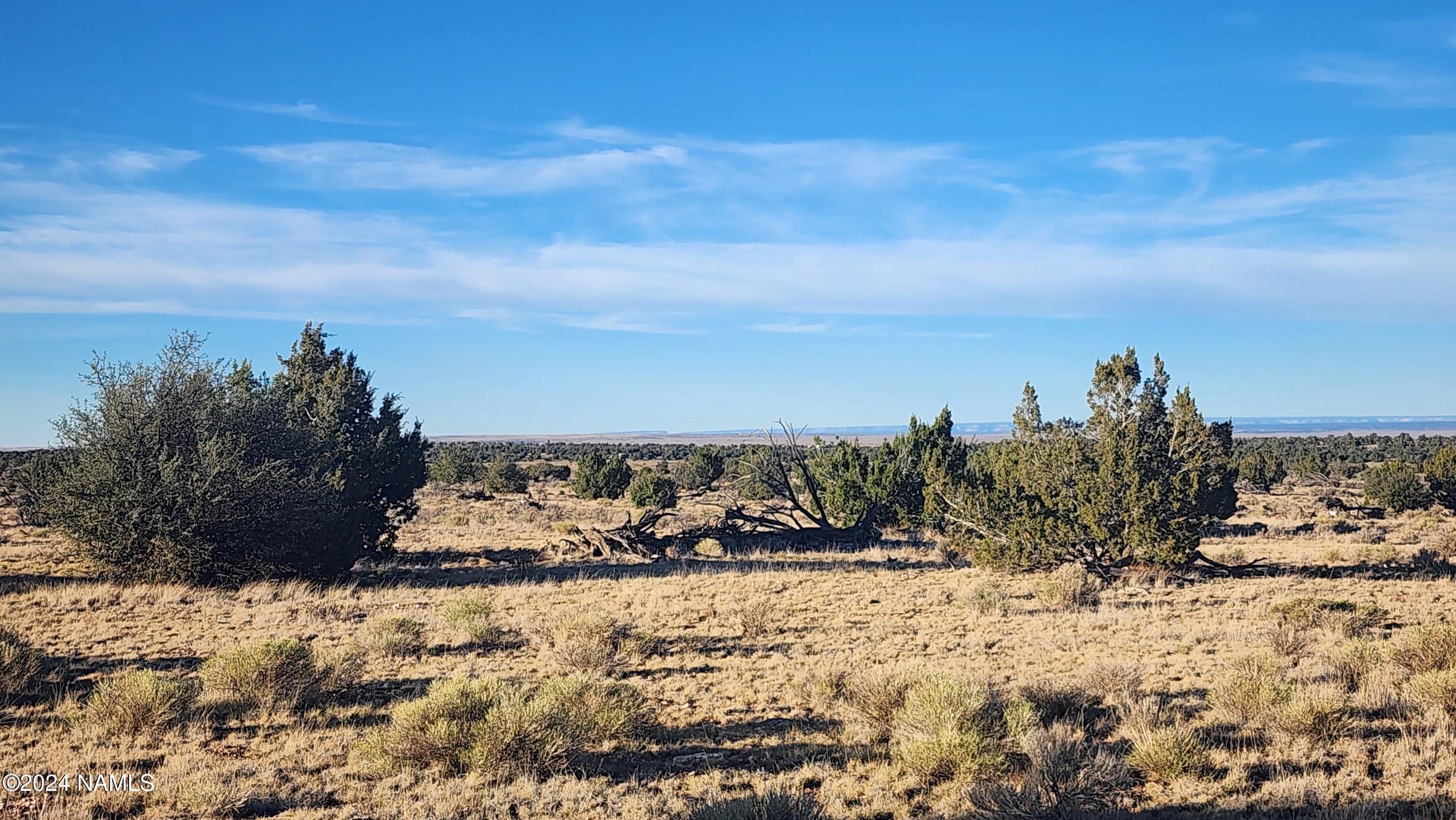 10424 West Line Cook Trail Williams, AZ 86046 - Photo 15 of 28 1000022016