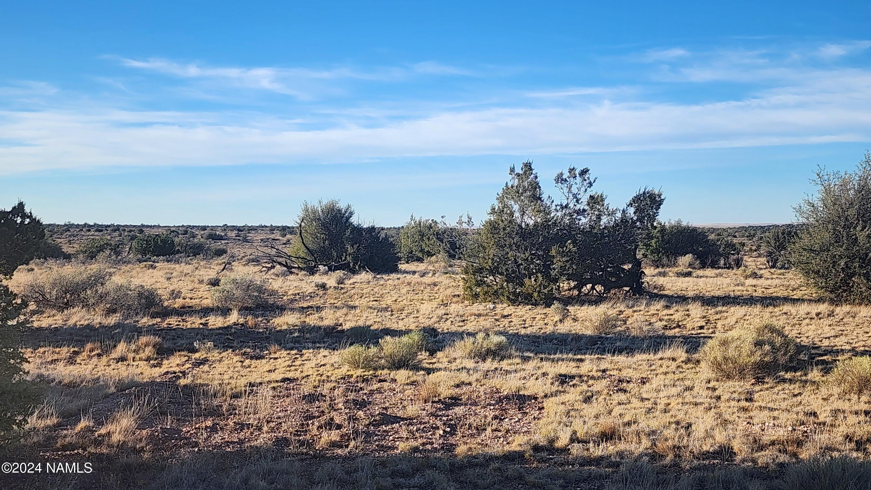 10424 West Line Cook Trail Williams, AZ 86046 - Photo 16 of 28 1000022017