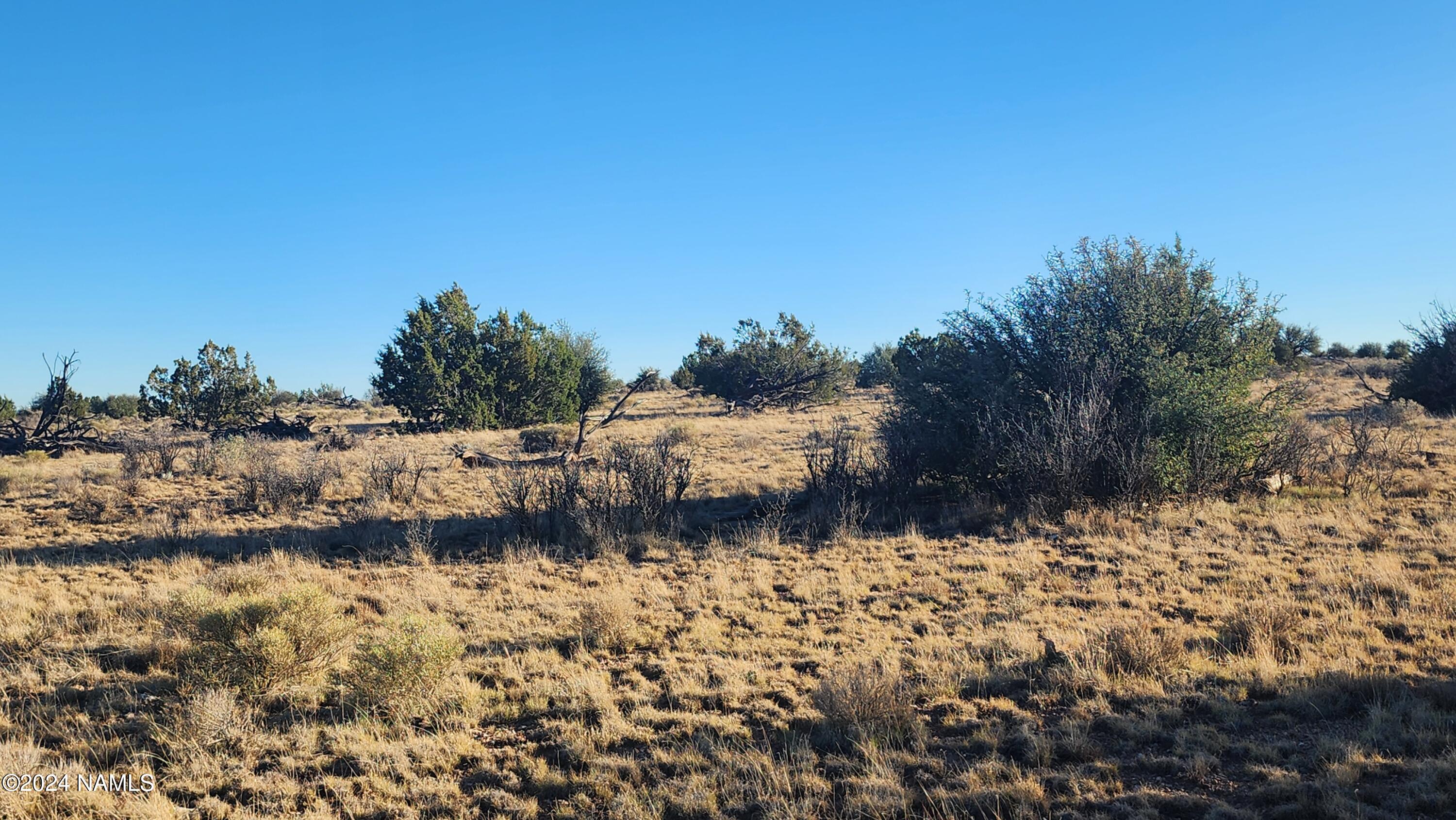 10424 West Line Cook Trail Williams, AZ 86046 - Photo 17 of 28 1000022011