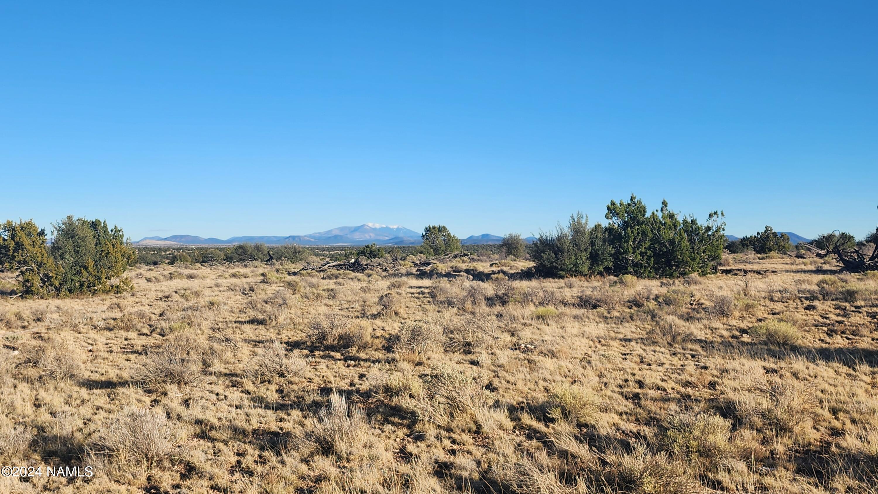10424 West Line Cook Trail Williams, AZ 86046 - Photo 18 of 28 1000022012