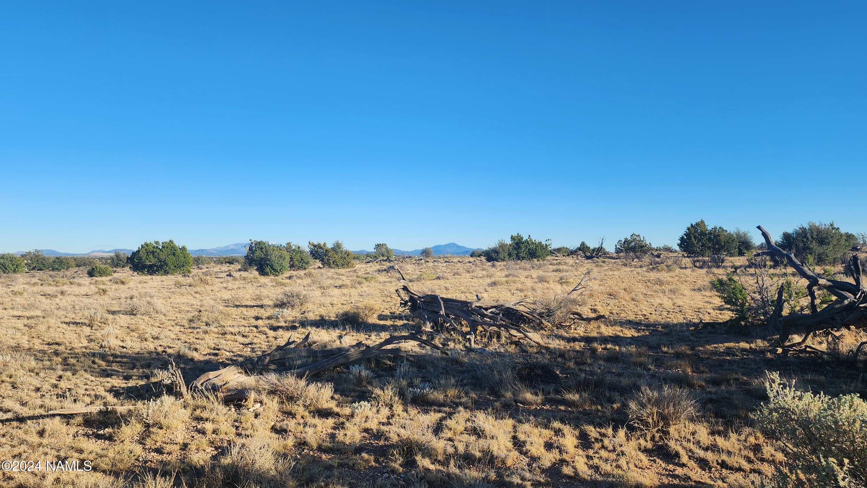 10424 West Line Cook Trail Williams, AZ 86046 - Photo 20 of 28 1000022007