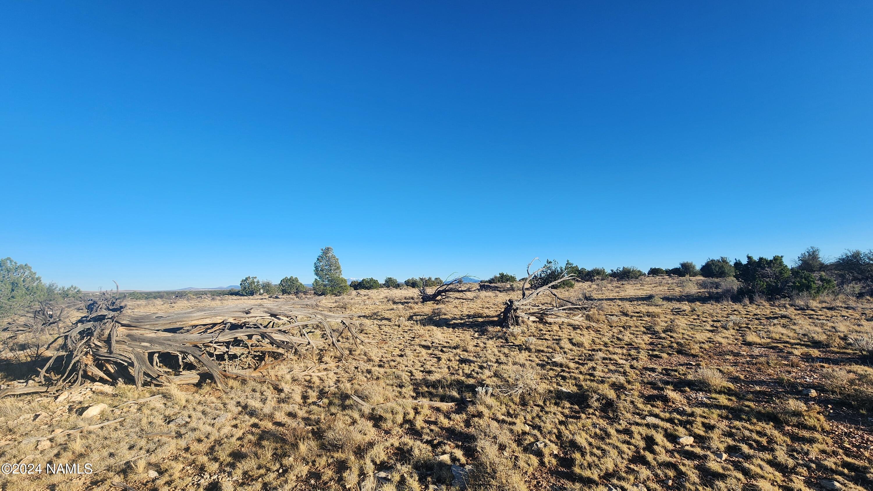 10424 West Line Cook Trail Williams, AZ 86046 - Photo 21 of 28 1000022003