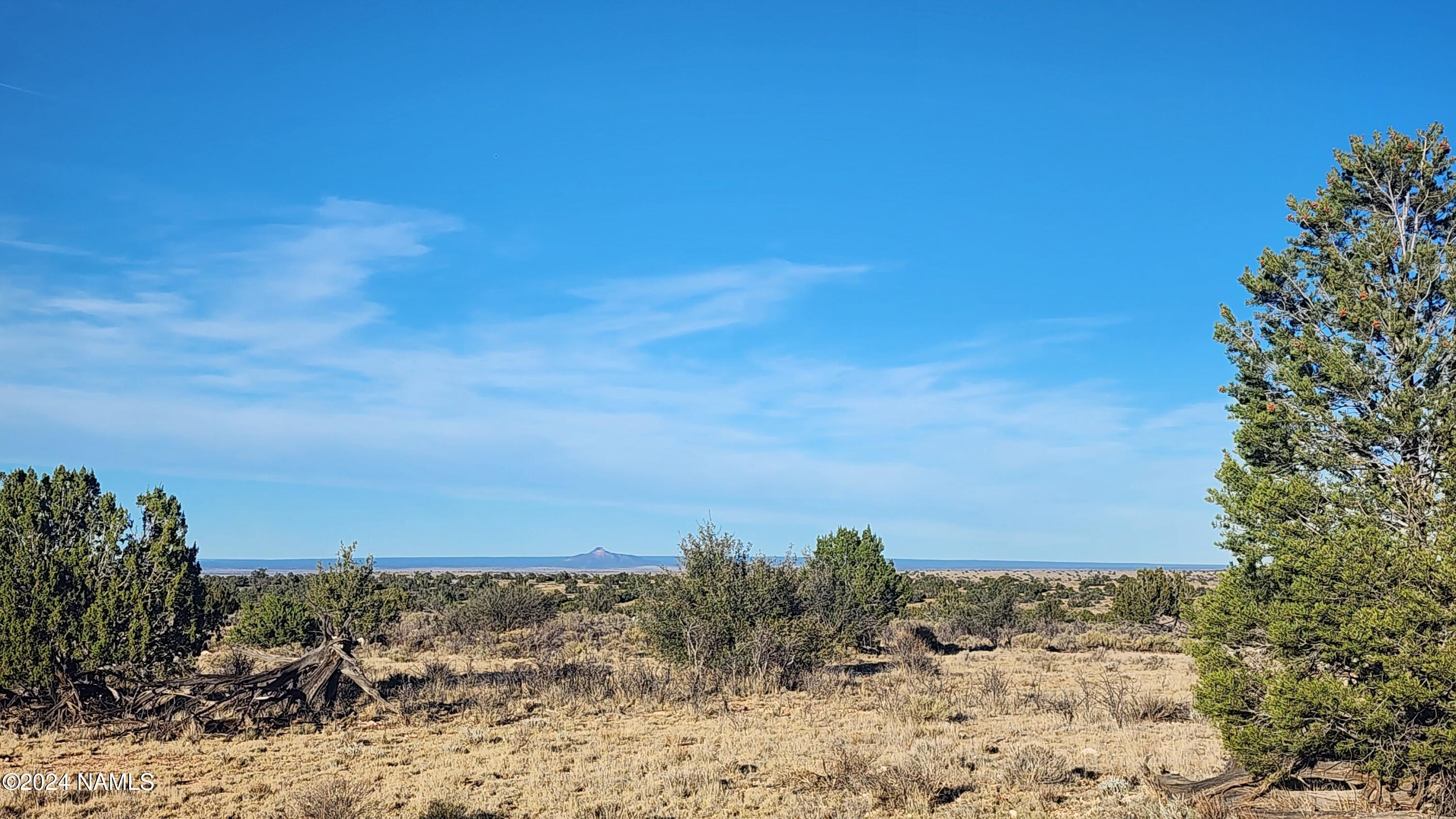 10424 West Line Cook Trail Williams, AZ 86046 - Photo 22 of 28 1000022005