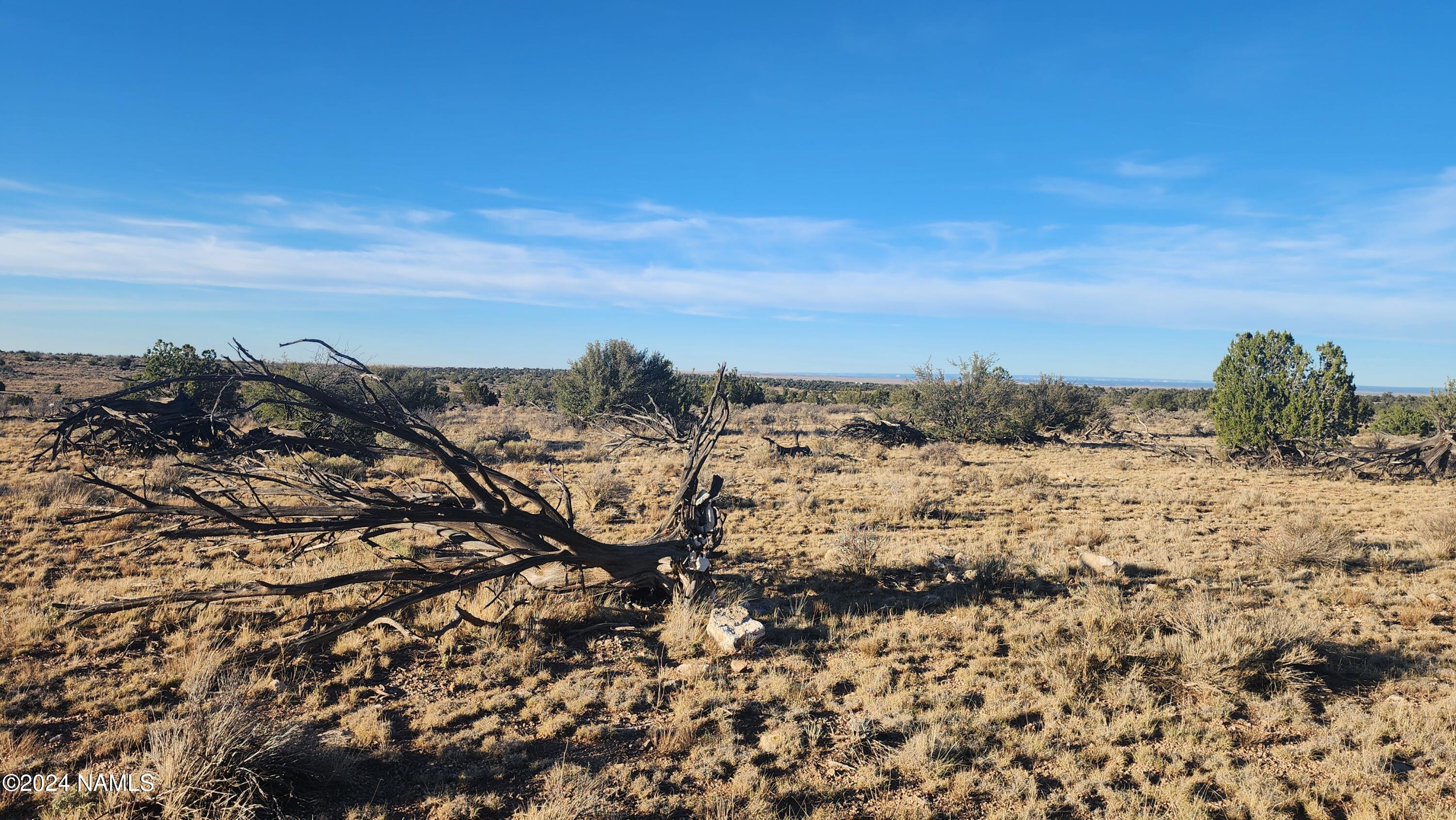 10424 West Line Cook Trail Williams, AZ 86046 - Photo 23 of 28 1000022006