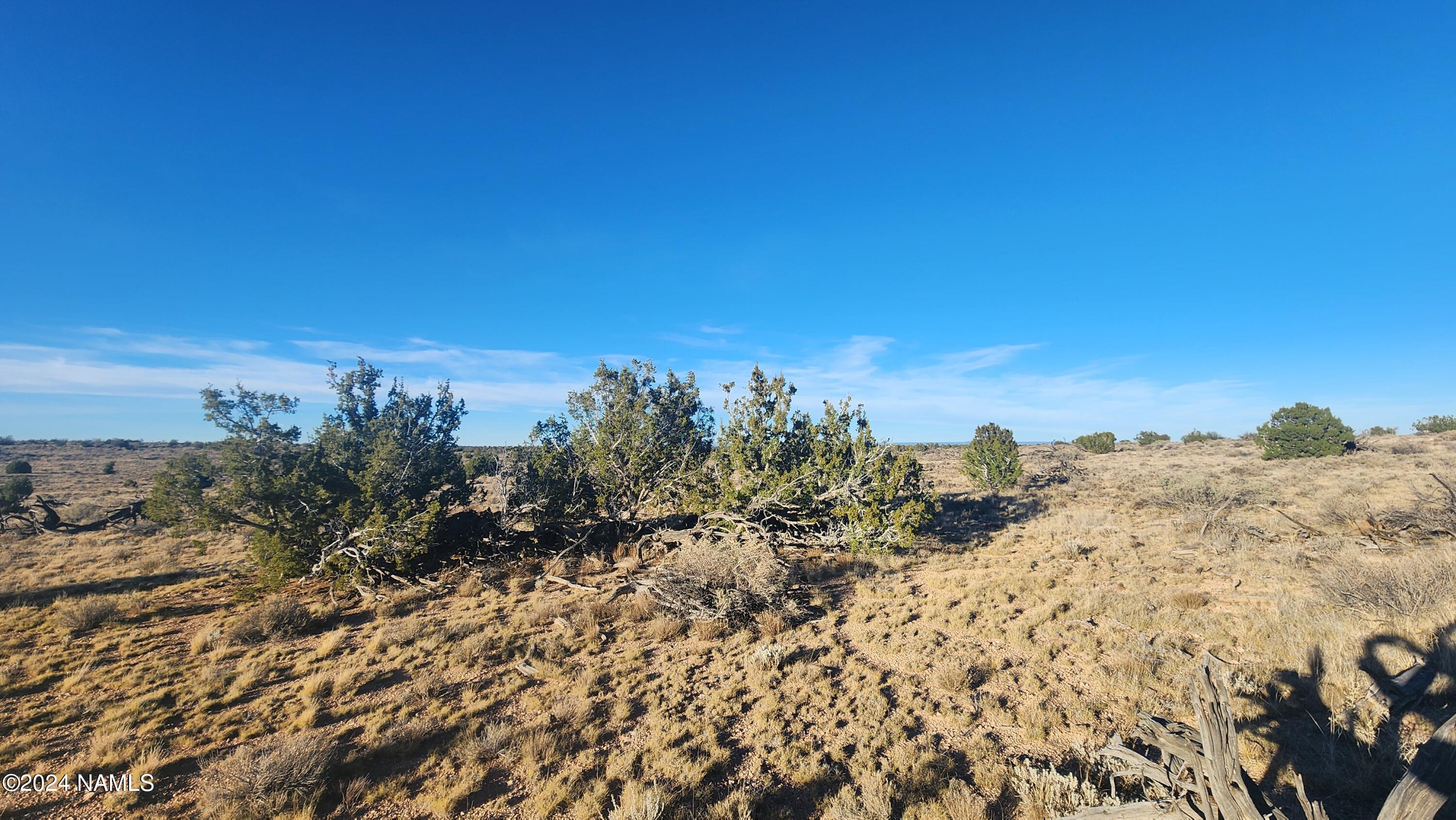10424 West Line Cook Trail Williams, AZ 86046 - Photo 25 of 28 1000022000
