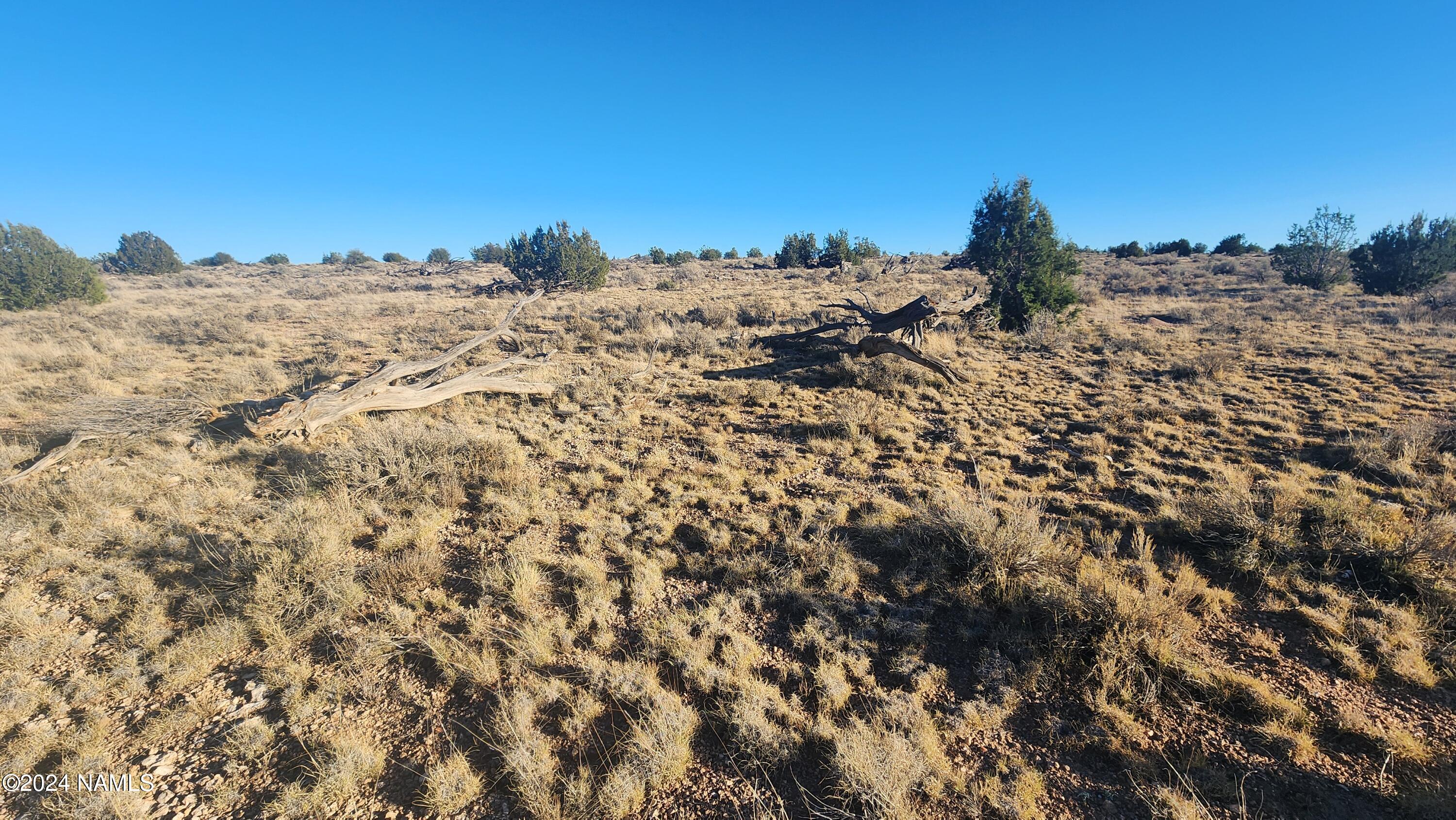 10424 West Line Cook Trail Williams, AZ 86046 - Photo 26 of 28 1000021997