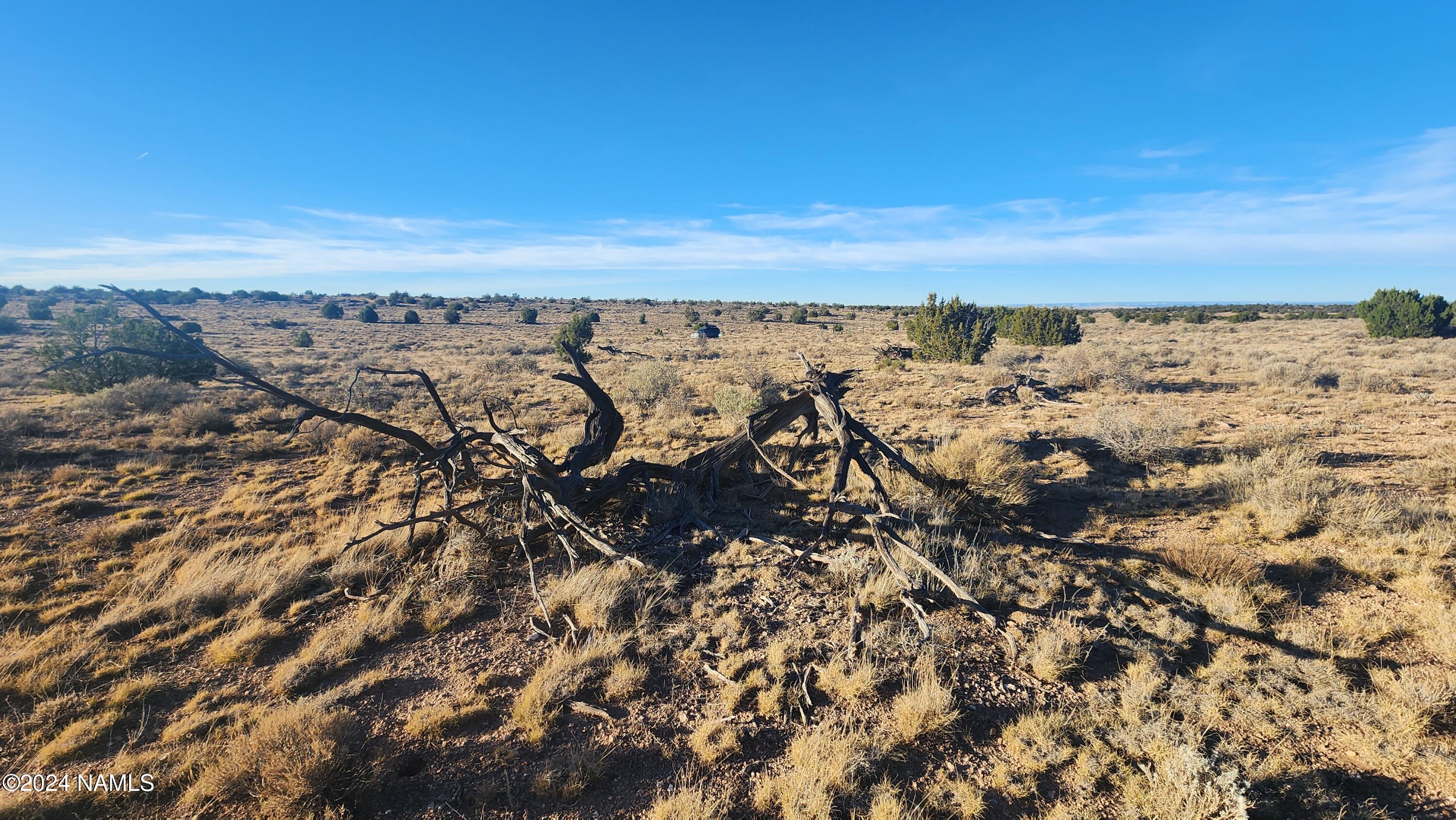 10424 West Line Cook Trail Williams, AZ 86046 - Photo 27 of 28 1000021998