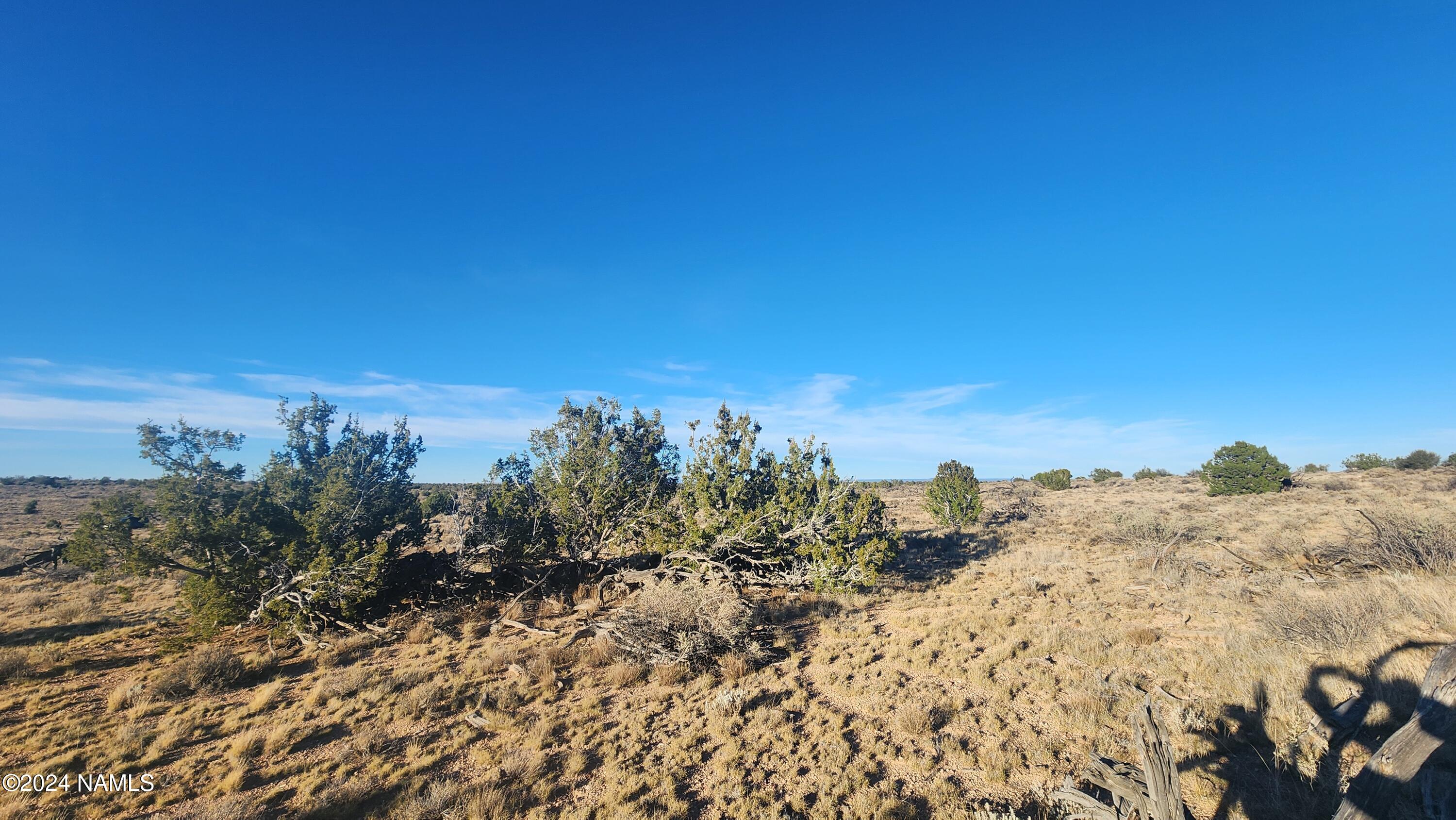 10424 West Line Cook Trail Williams, AZ 86046 - Photo 28 of 28 1000021999