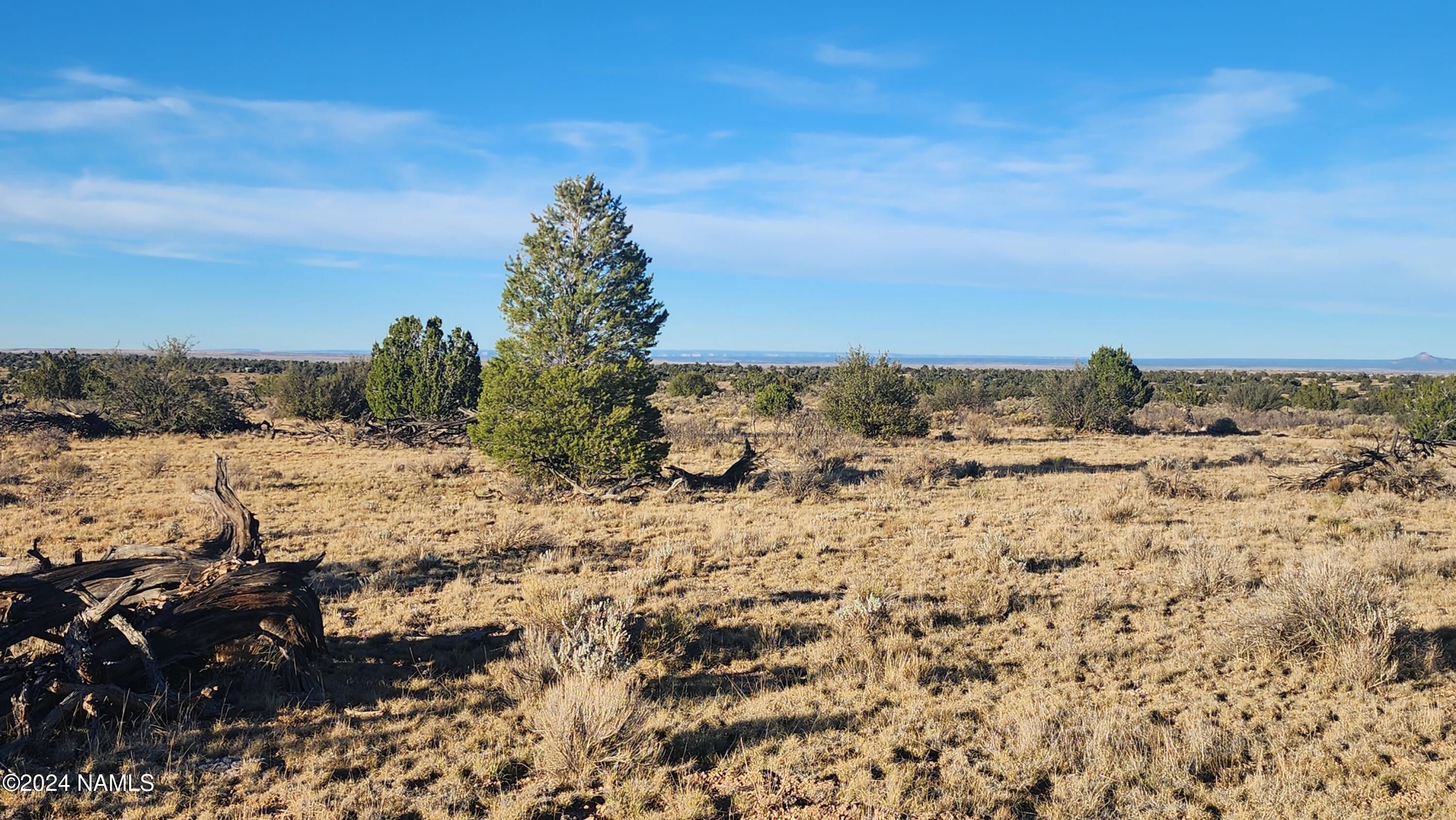 10424 West Line Cook Trail Williams, AZ 86046 - Photo 4 of 28 1000022010