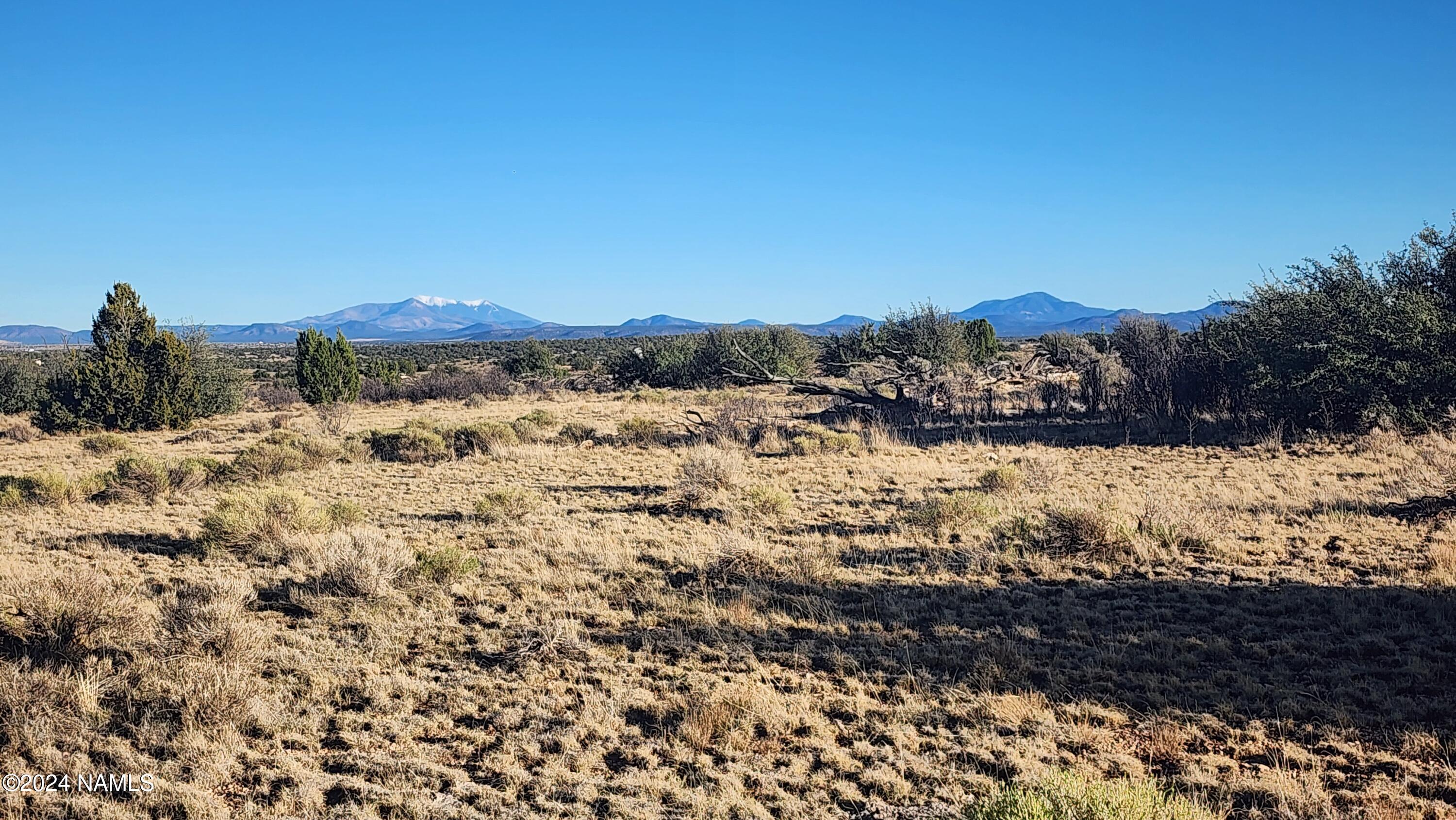 10424 West Line Cook Trail Williams, AZ 86046 - Photo 5 of 28 1000022015