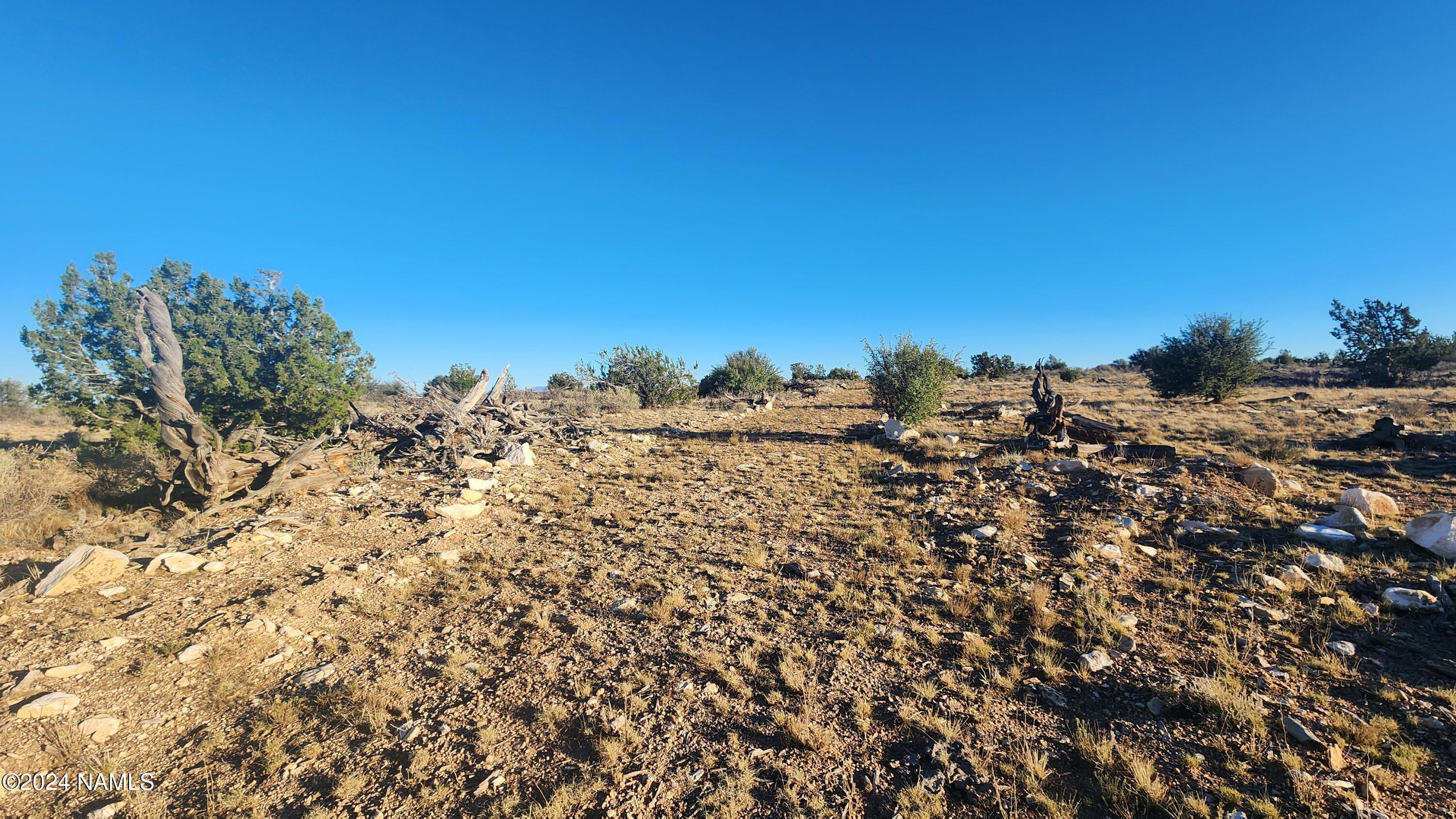 10424 West Line Cook Trail Williams, AZ 86046 - Photo 7 of 28 1000022025