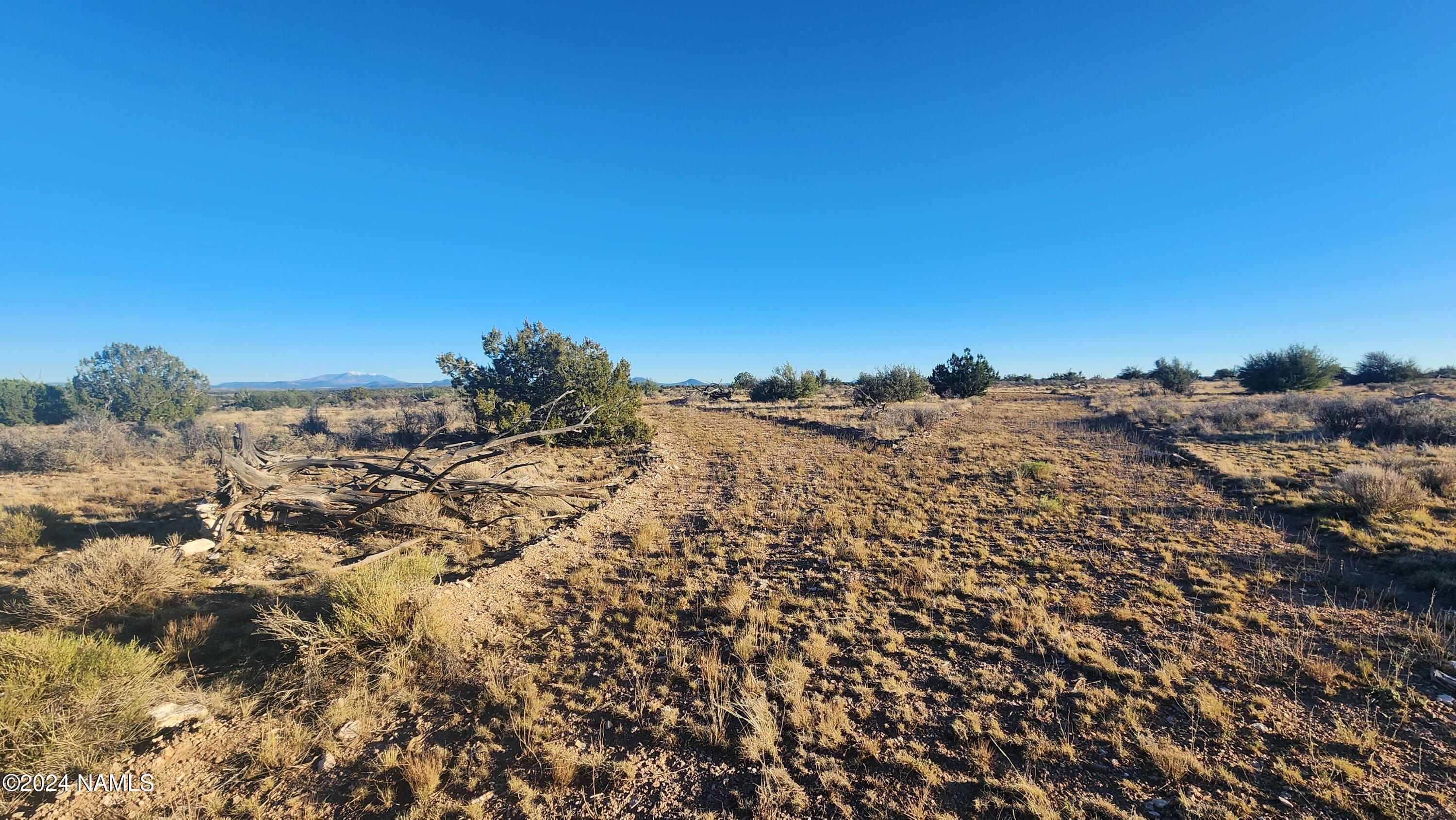 10424 West Line Cook Trail Williams, AZ 86046 - Photo 9 of 28 1000022024