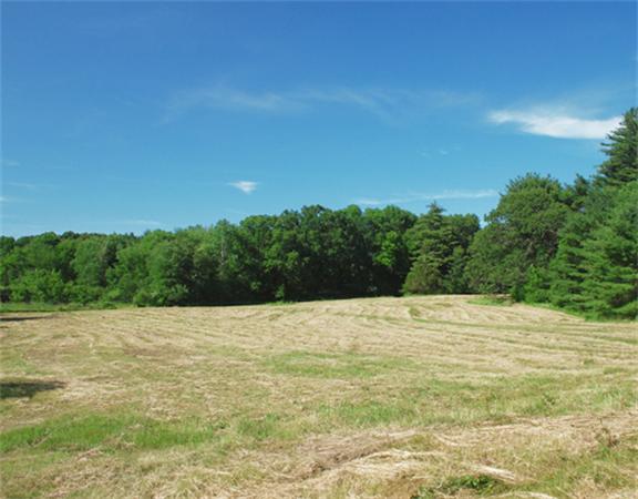 291 River Road Carlisle, MA 01741 - Photo 3 of 5 Gallery Image 3