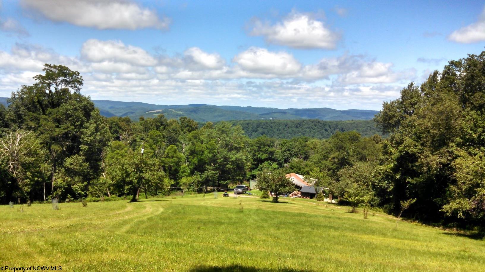 10447 Limestone Road Parsons, WV 26287 - Photo 2 of 15 Gallery Image 2