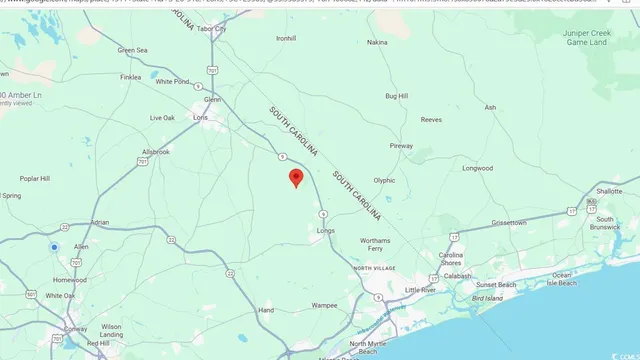 $99,500 | 1095 Cedar Branch Road, Loris, SC 29569