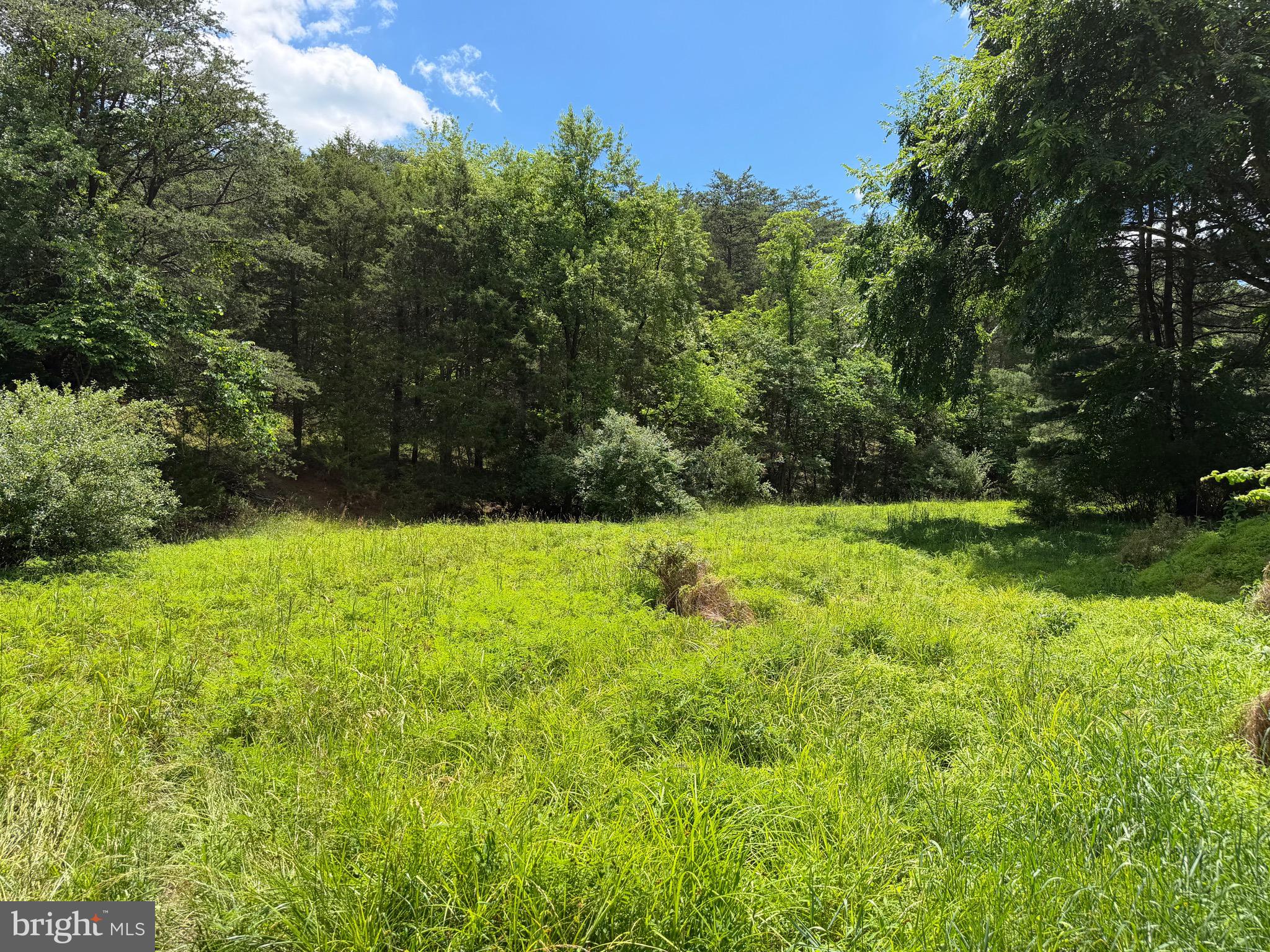 511 Chickadee Road Purgitsville, WV 26852 - Photo 13 of 99