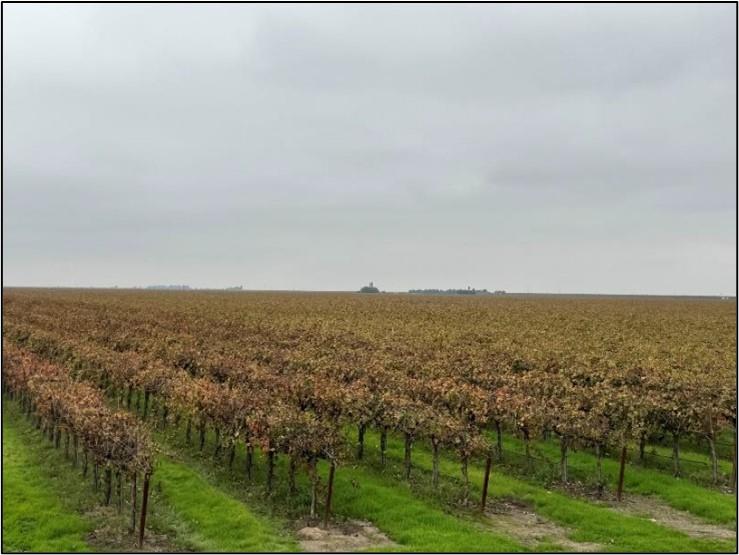 20303 Lincoln Road Chowchilla, CA 93610 - Photo 7 of 14 a view of an ocean