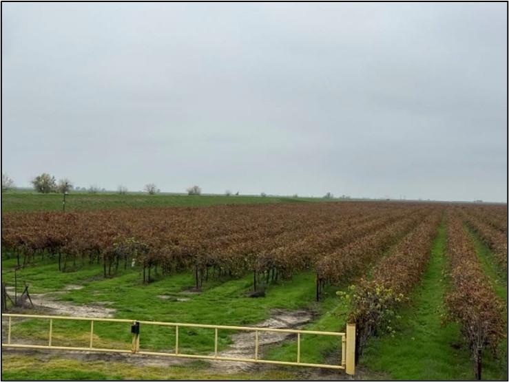 20303 Lincoln Road Chowchilla, CA 93610 - Photo 8 of 14 a view of an ocean