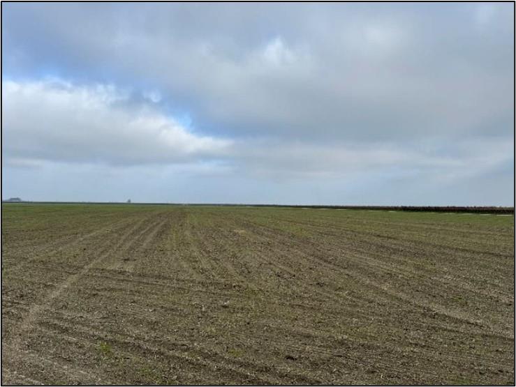 20303 Lincoln Road Chowchilla, CA 93610 - Photo 9 of 14 a view of an ocean