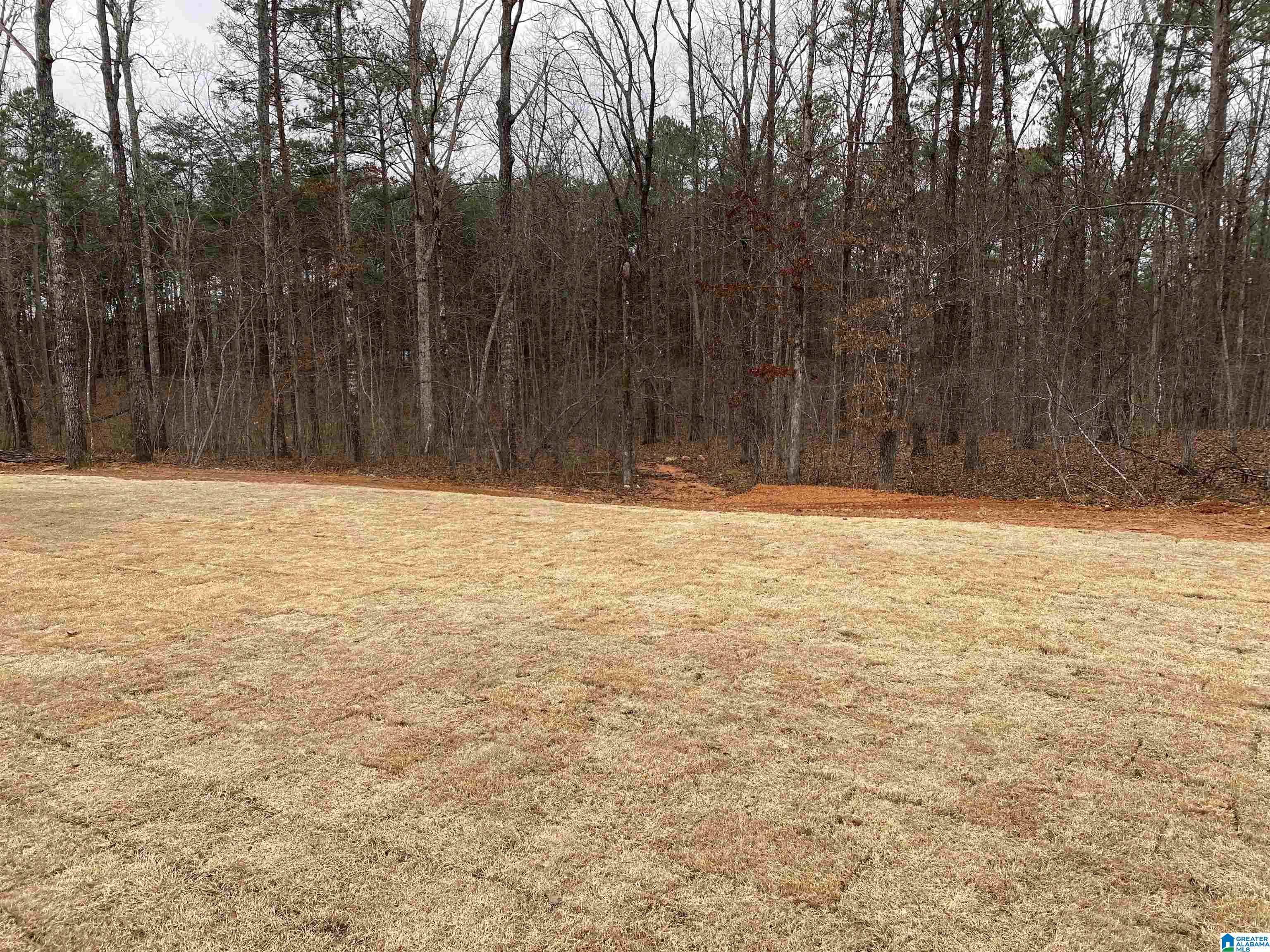 21336 Callie Circle McCalla, AL 35111 - Photo 43 of 45