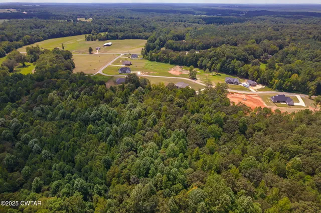 an aerial view of residential houses with outdoor space and trees