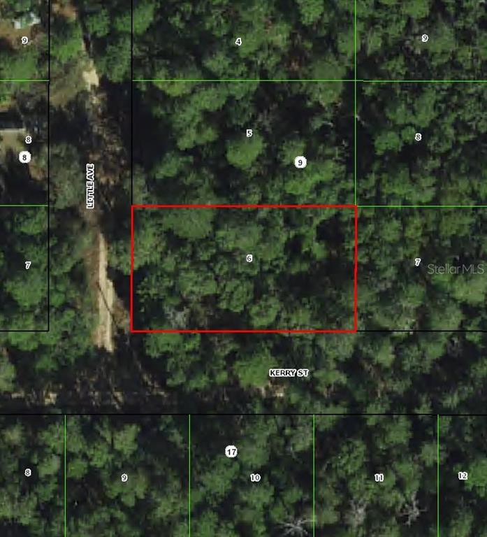 306 Little Avenue Inverness, FL 34452 - Photo 1 of 3