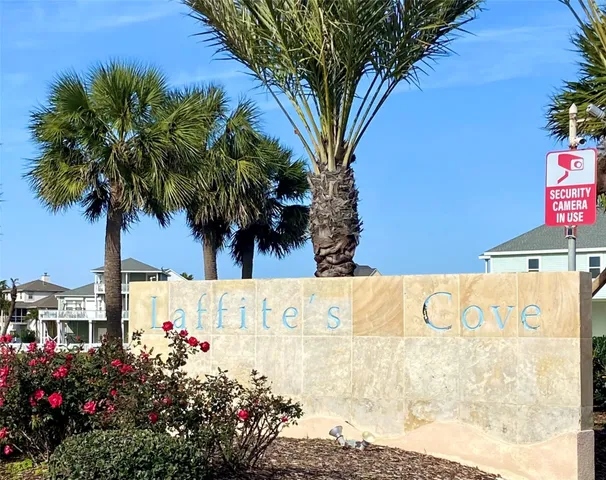 a view of a big yard with plants and large trees