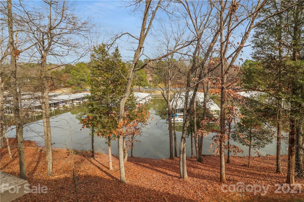64 Ridgeport Road Lake Wylie, SC 29710 - Photo 3 of 37 a view of a tree in front of a yard