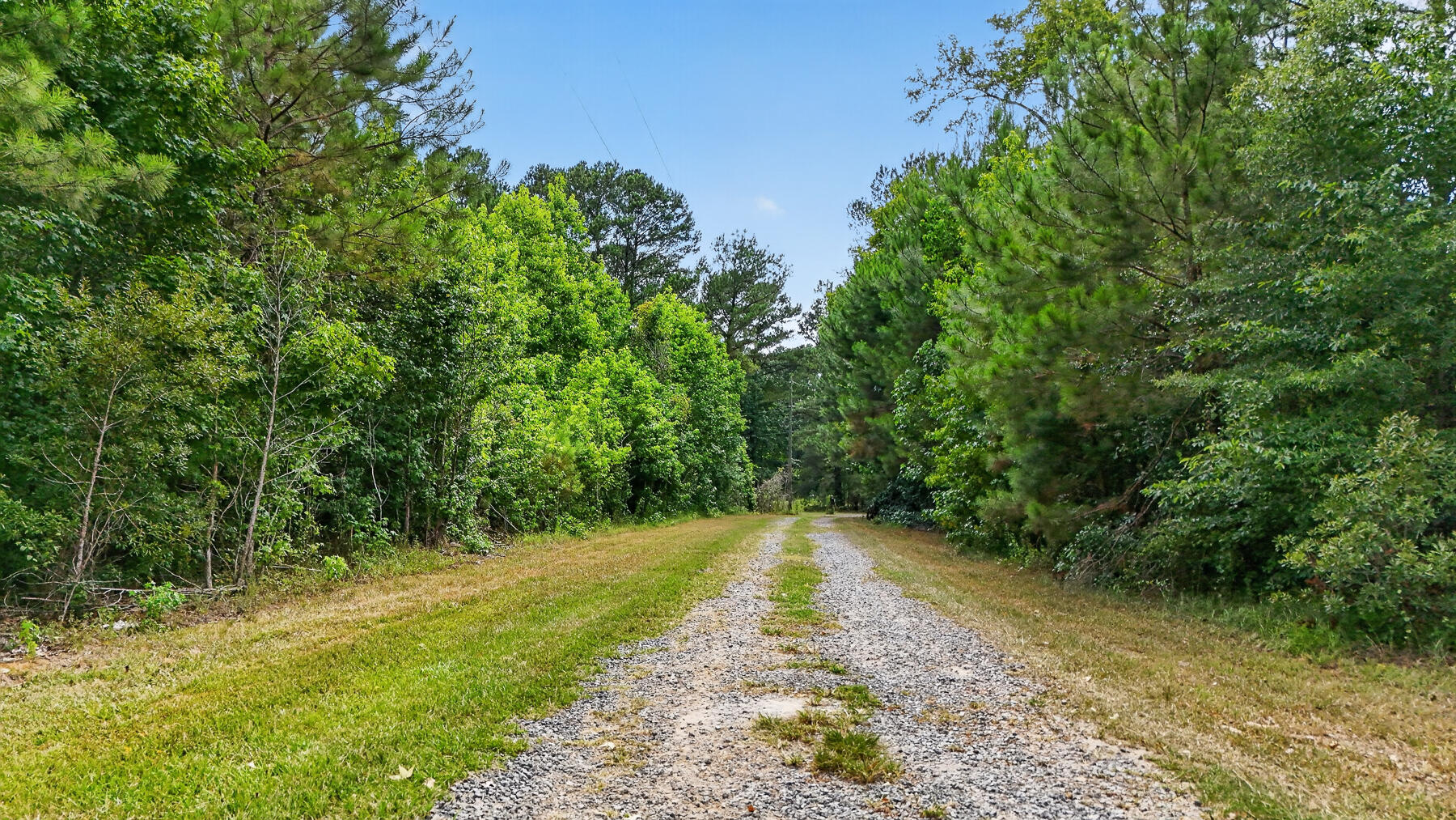 135 Ponley Lane Cottageville, SC 29435 - Photo 52 of 64 GM-109-2