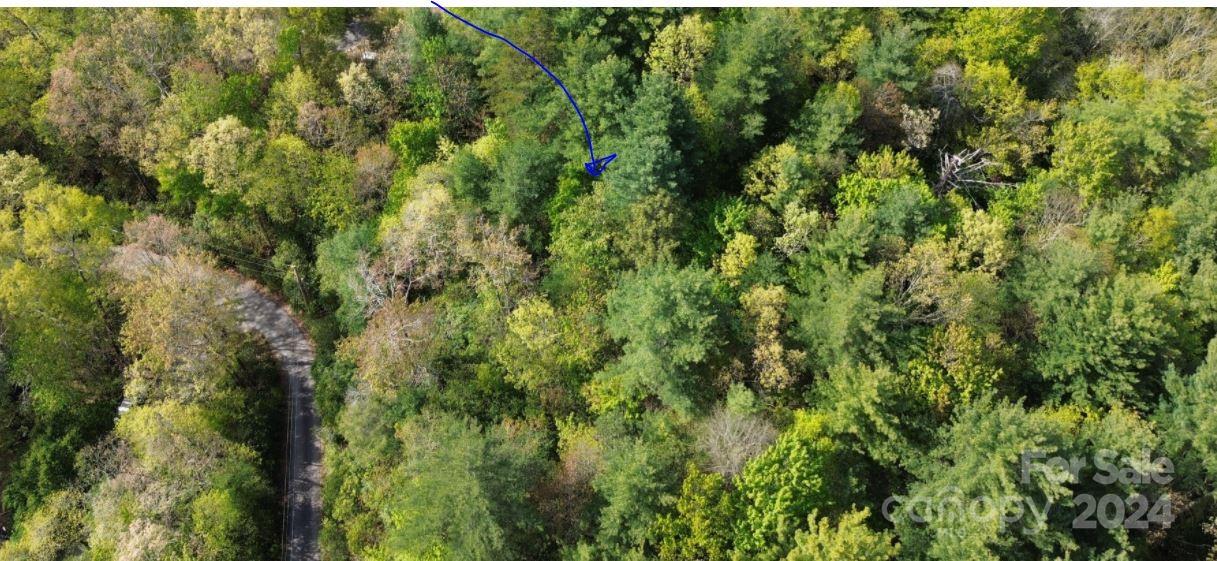 Tbd Tbd Flat Ridge Rd Lake Lake Toxaway, NC 28747 - Photo 2 of 8 a view of a lush green forest with large trees