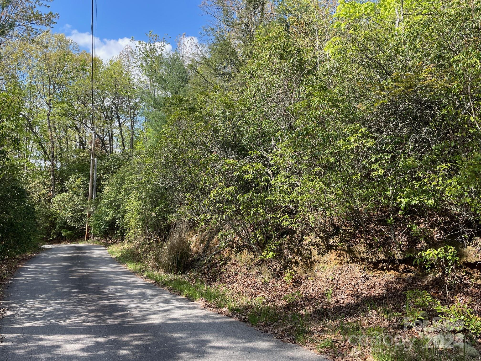 Tbd Tbd Flat Ridge Rd Lake Lake Toxaway, NC 28747 - Photo 4 of 8 a view of a forest with a tree