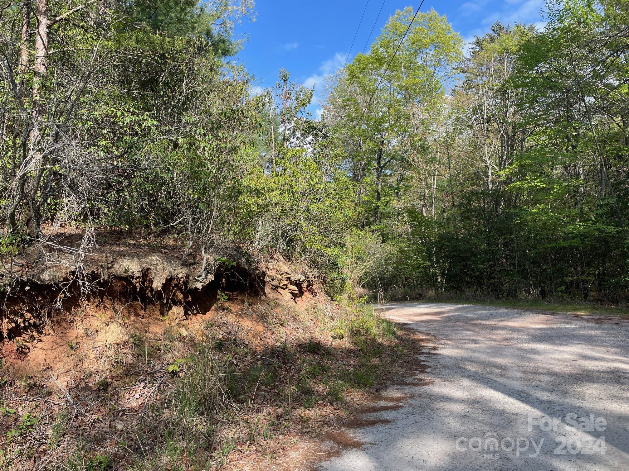 Tbd Tbd Flat Ridge Rd Lake Lake Toxaway, NC 28747 - Photo 5 of 8 a view of outdoor space and trees