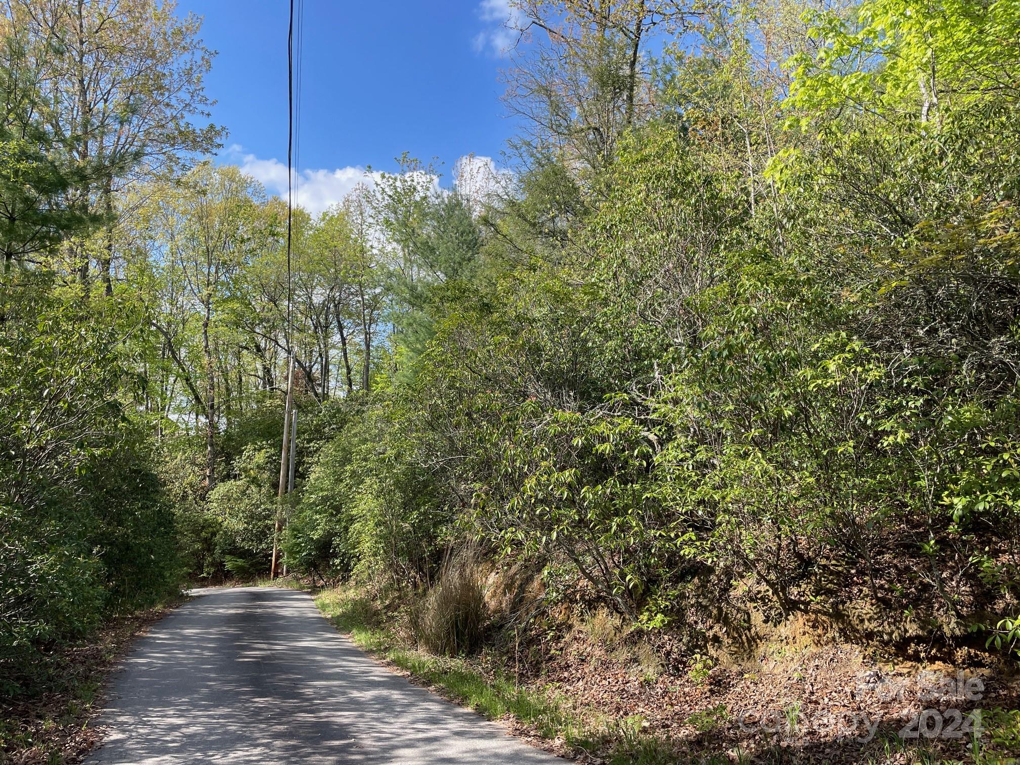 Tbd Tbd Flat Ridge Rd Lake Lake Toxaway, NC 28747 - Photo 6 of 8 a view of a pathway both side of yard