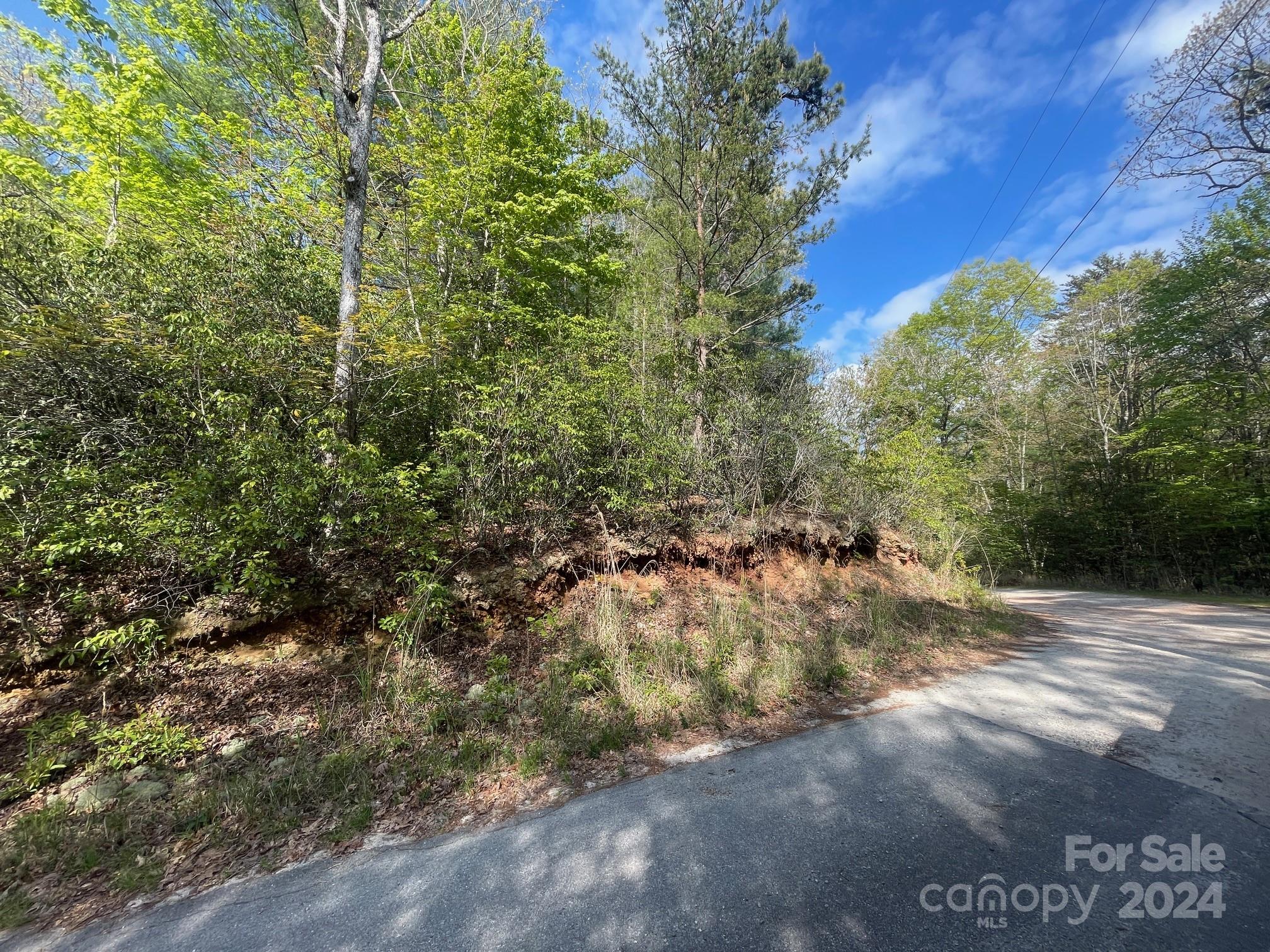 Tbd Tbd Flat Ridge Rd Lake Lake Toxaway, NC 28747 - Photo 7 of 8 a view of a forest with trees