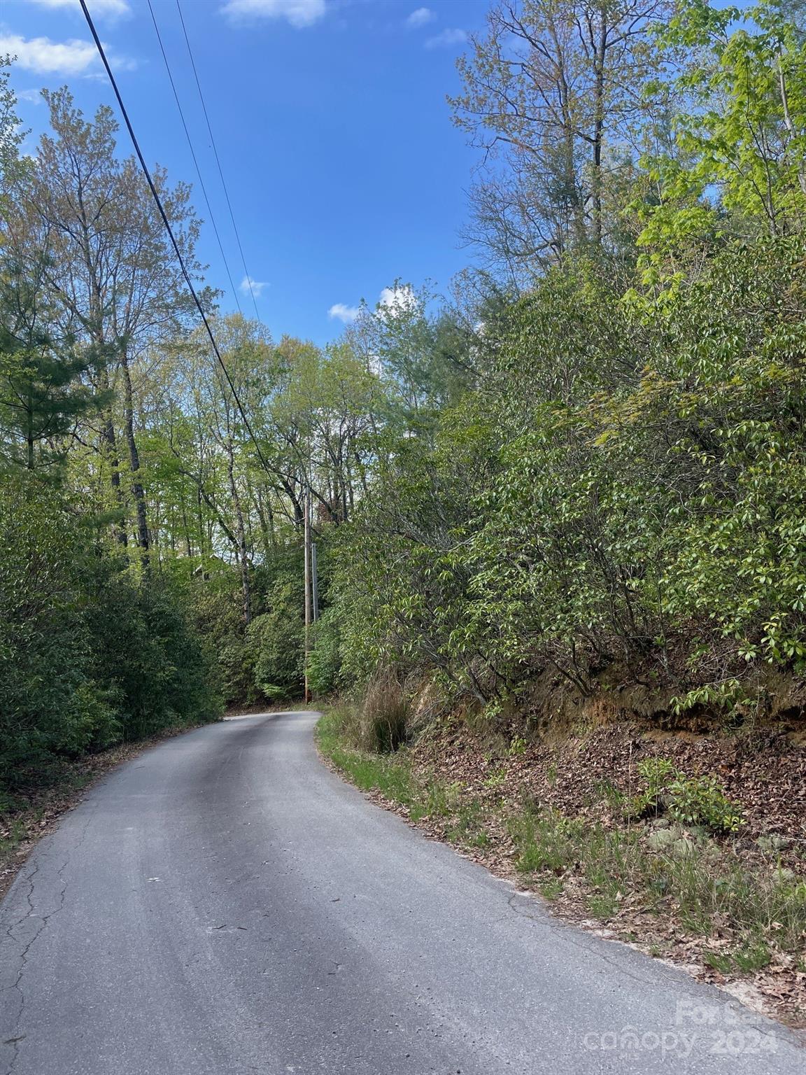 Tbd Tbd Flat Ridge Rd Lake Lake Toxaway, NC 28747 - Photo 8 of 8 a view of a forest