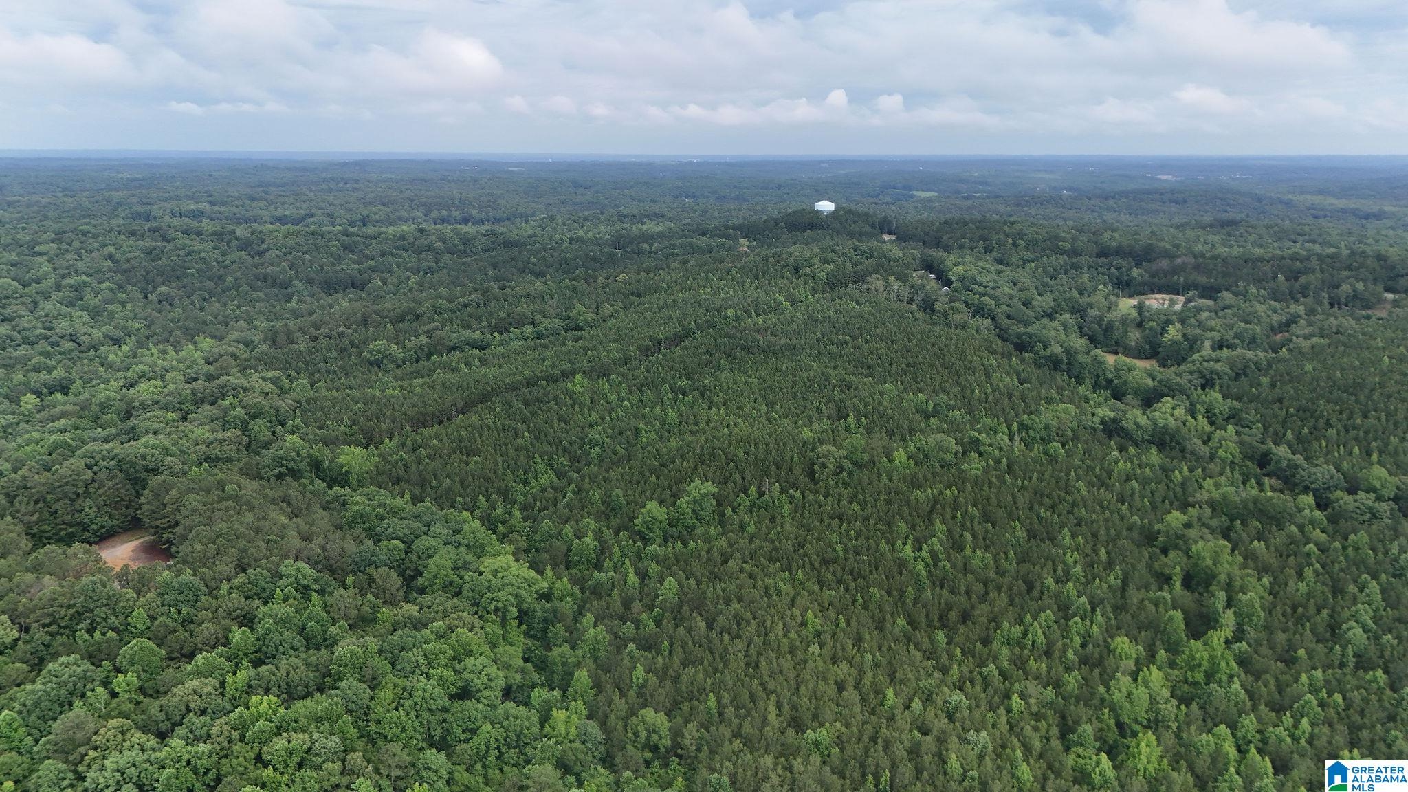 0 Skyview Lake Road Cottondale, AL 35453 - Photo 9 of 22